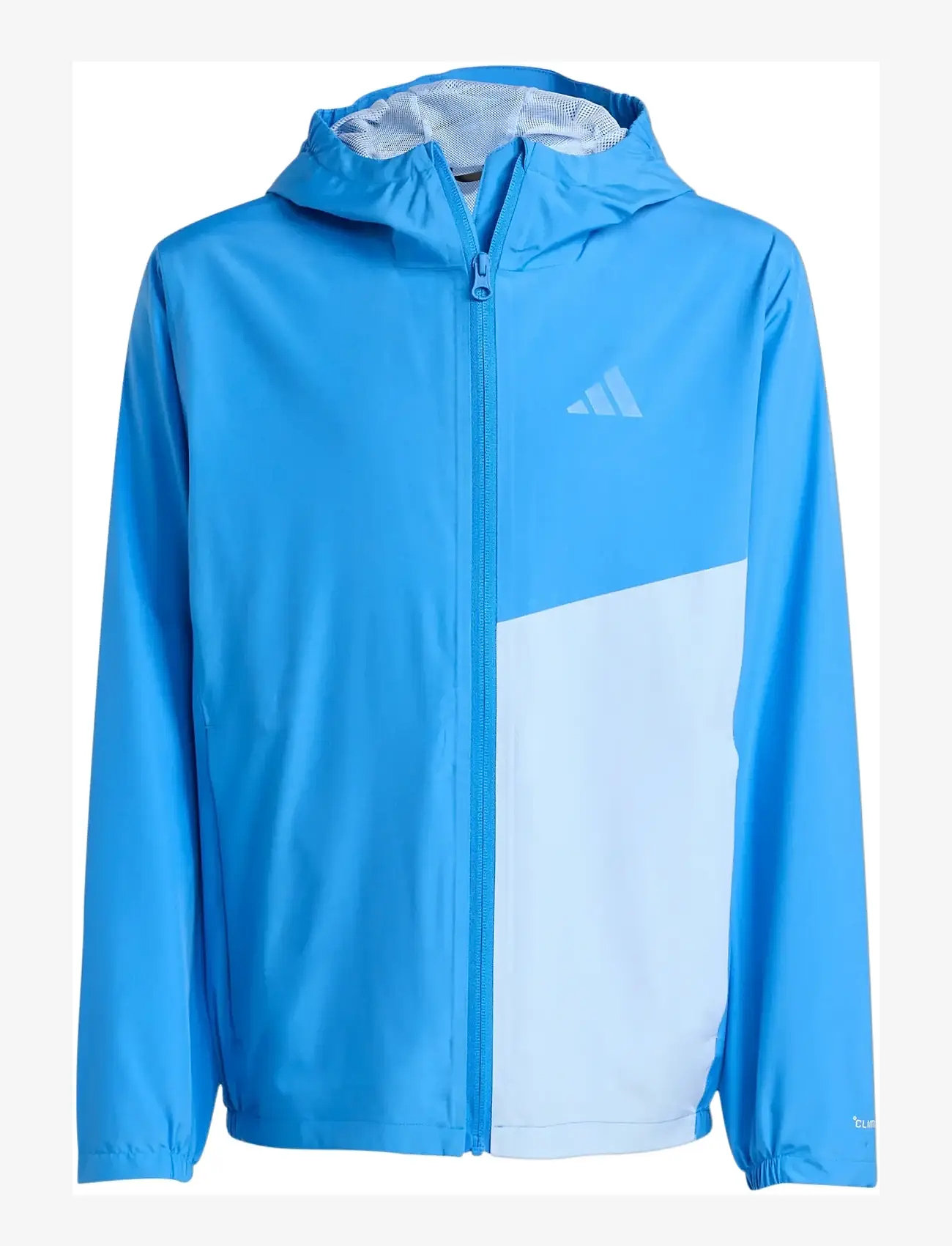 adidas Terrex - K MT 2L RAIN J - skaljakker - rayblu/globlu - 1