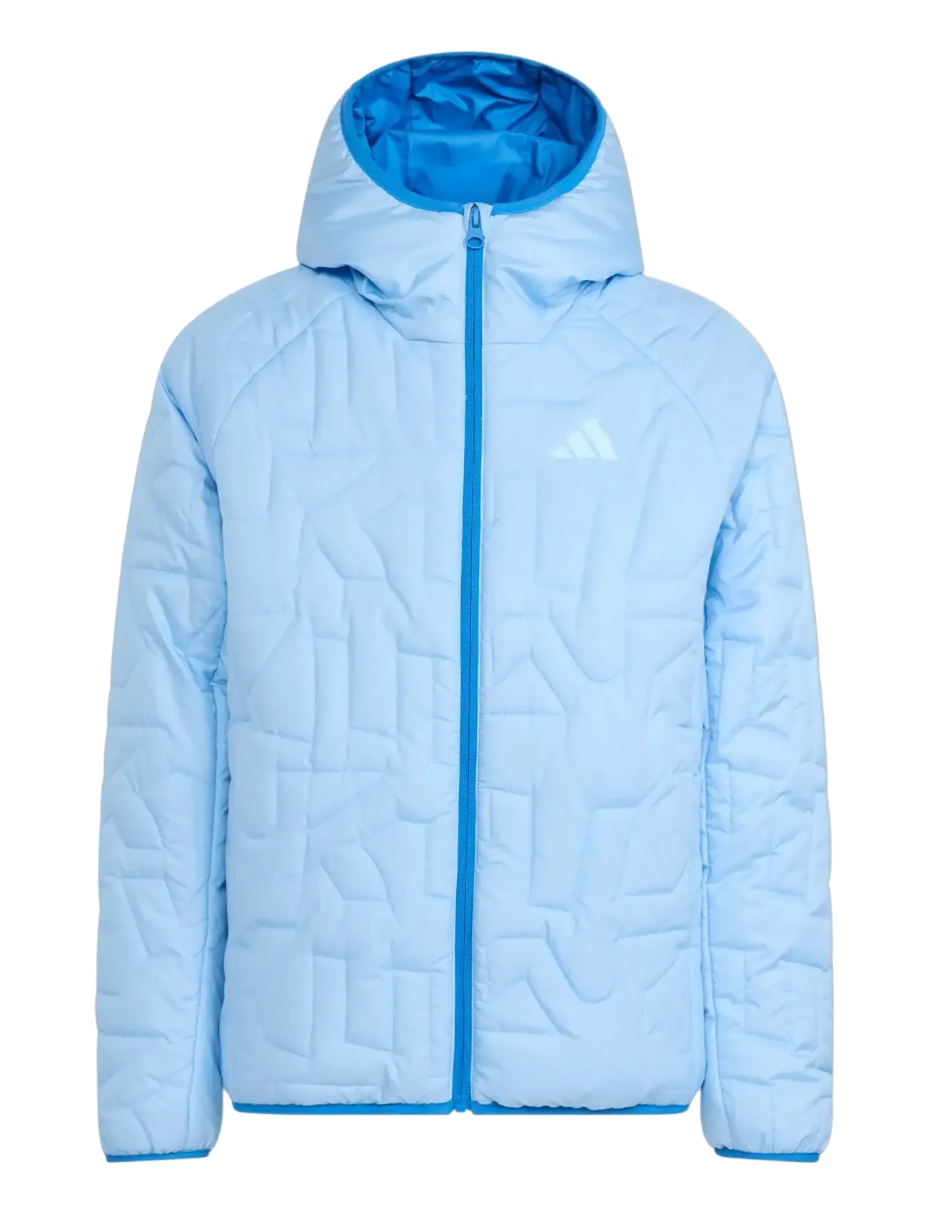 adidas Terrex K XPR PD JKT - Steppjacken - GLOBLU / blue