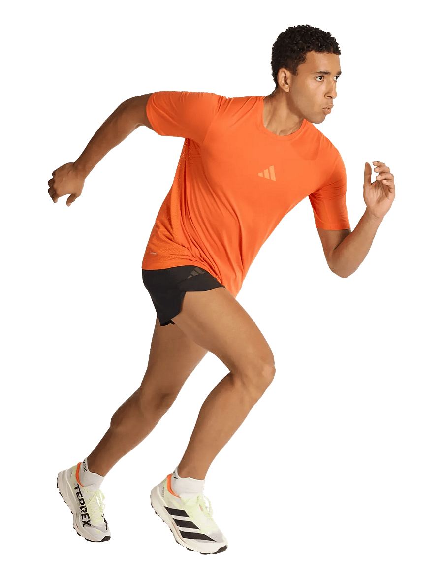 adidas Terrex - XPR SHORTS - träningsshorts - black - 0