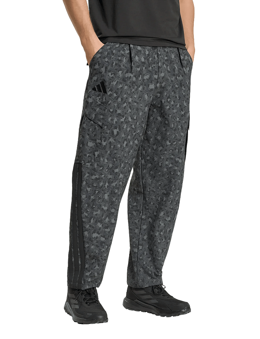 adidas Terrex - CARGO PANTS AOP - vabaõhupüksid - gresix/carbon/black - 2