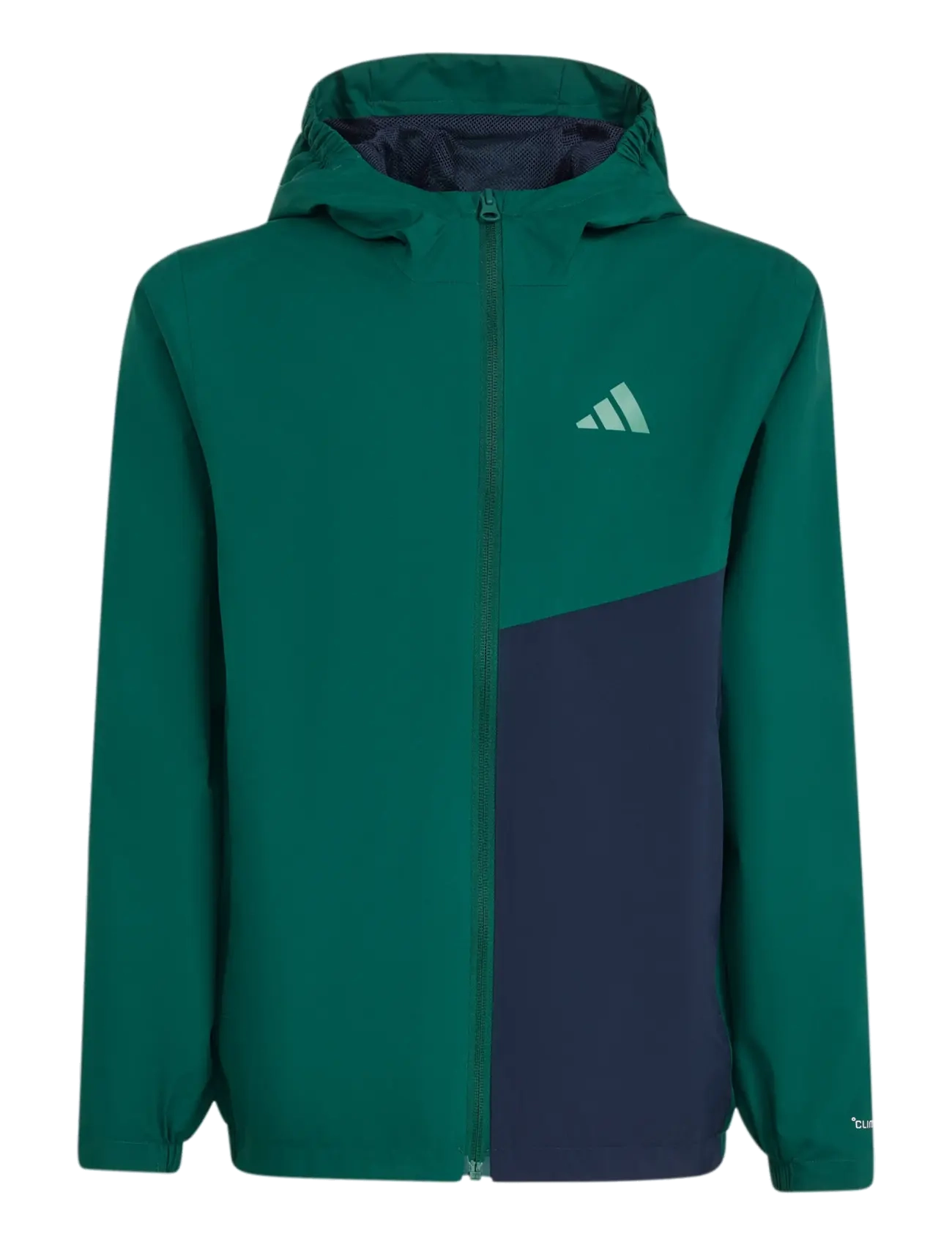 adidas Terrex K MT 2L RAIN J - adidas Terrex - CGREEN / green