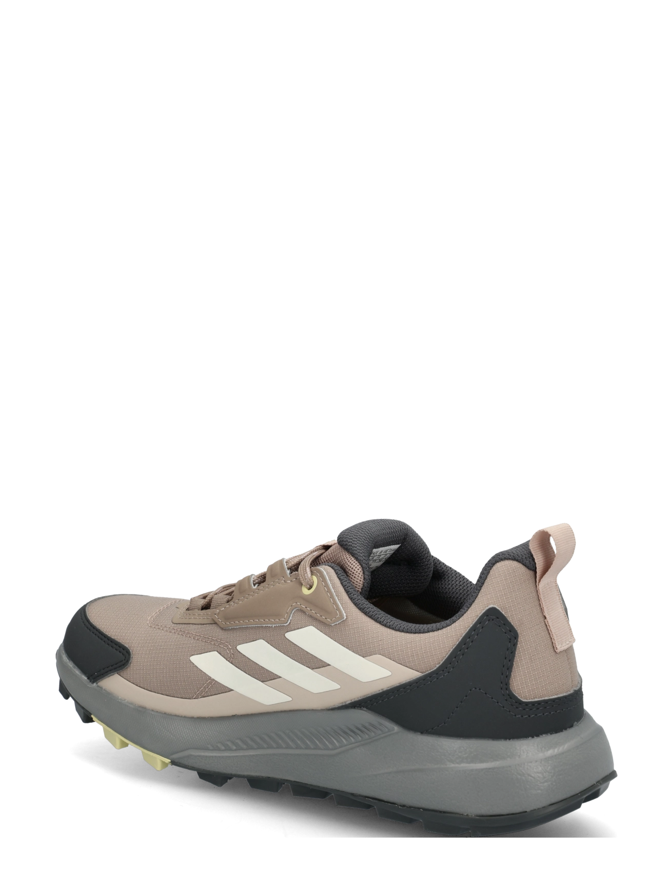 adidas Terrex - TERREX ANYLANDER R.RDY W - vandresko - chabrn/wonwhi/gresix - 1