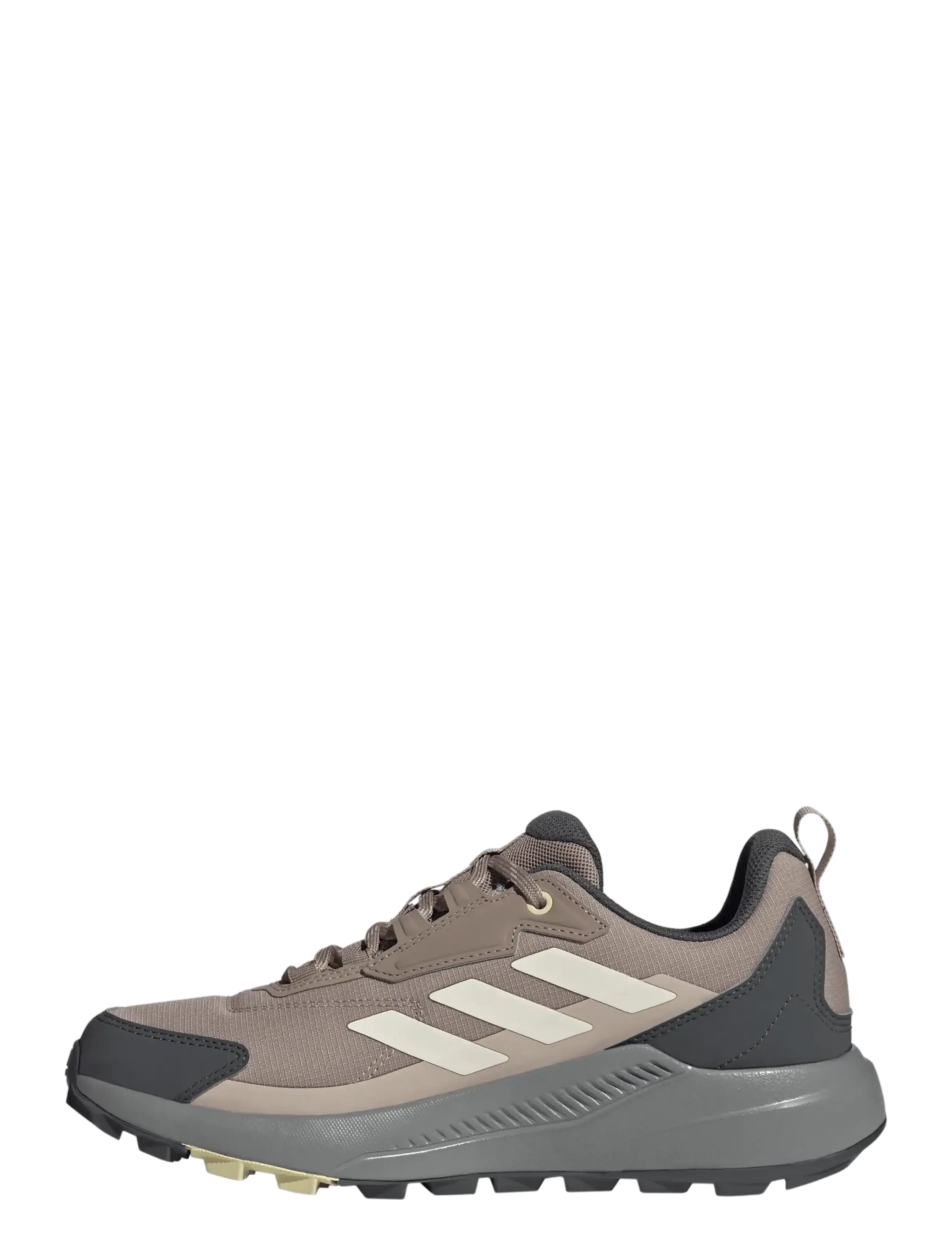 adidas Terrex - TERREX ANYLANDER R.RDY W - hiking shoes - chabrn/wonwhi/gresix - 1