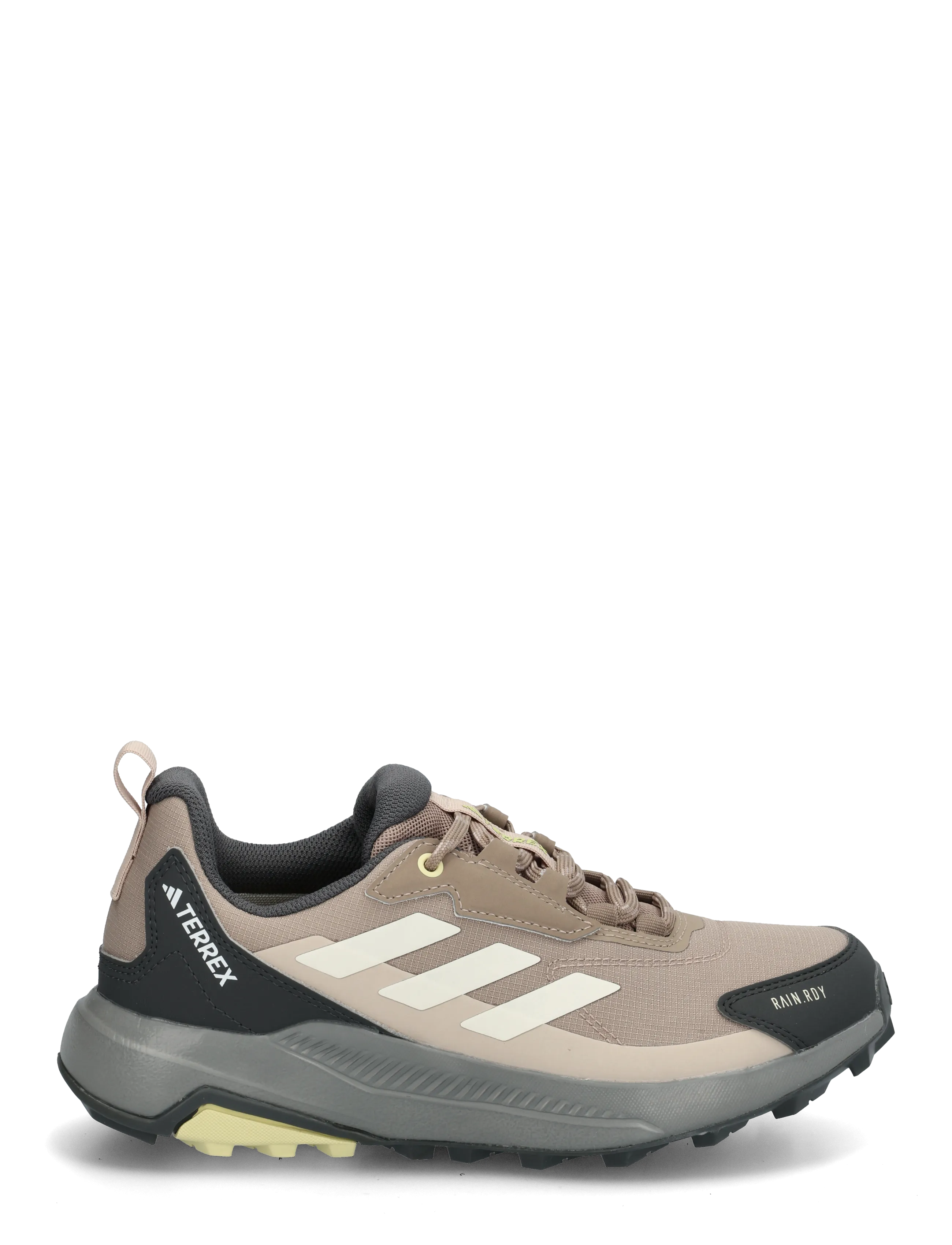 adidas Terrex - TERREX ANYLANDER R.RDY W - sügisene kokkuhoid - chabrn/wonwhi/gresix - 2