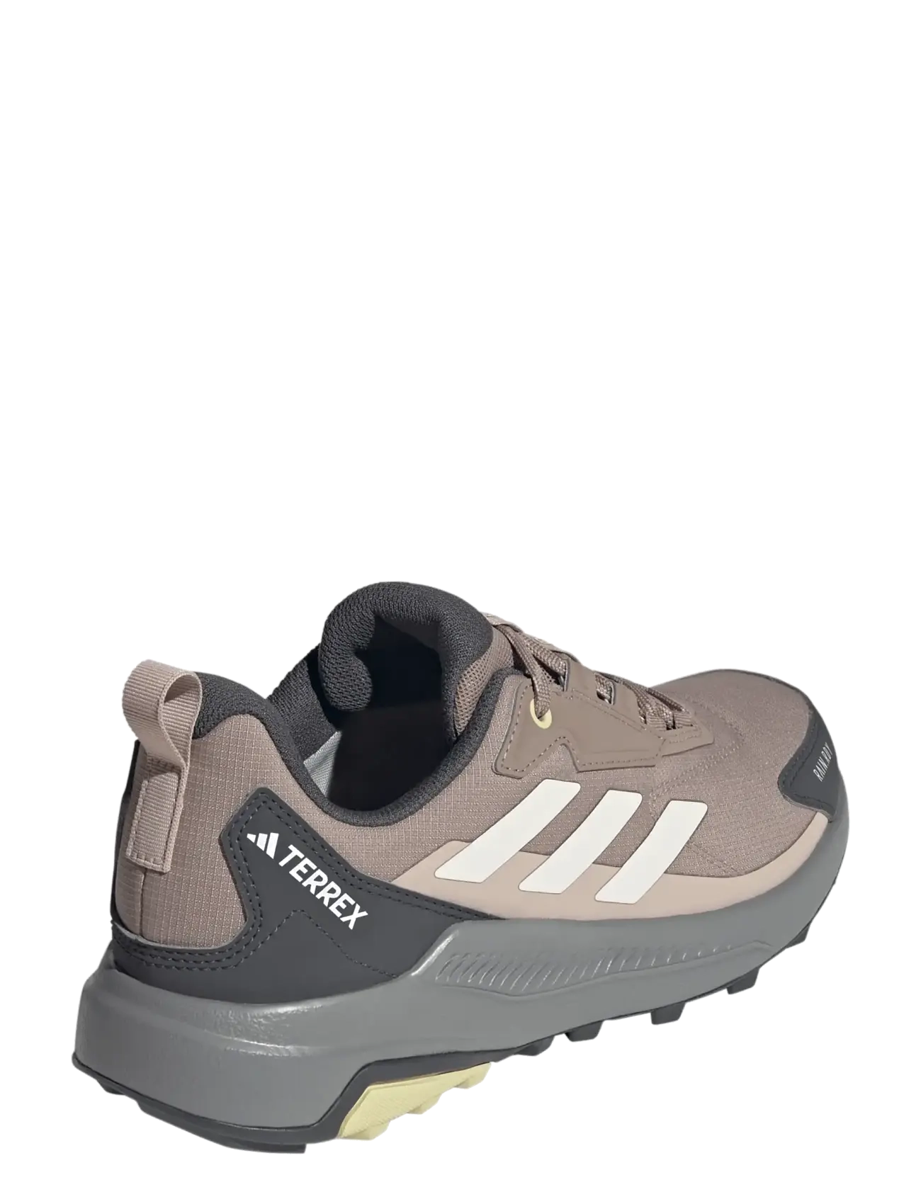 adidas Terrex - TERREX ANYLANDER R.RDY W - hiking shoes - chabrn/wonwhi/gresix - 2