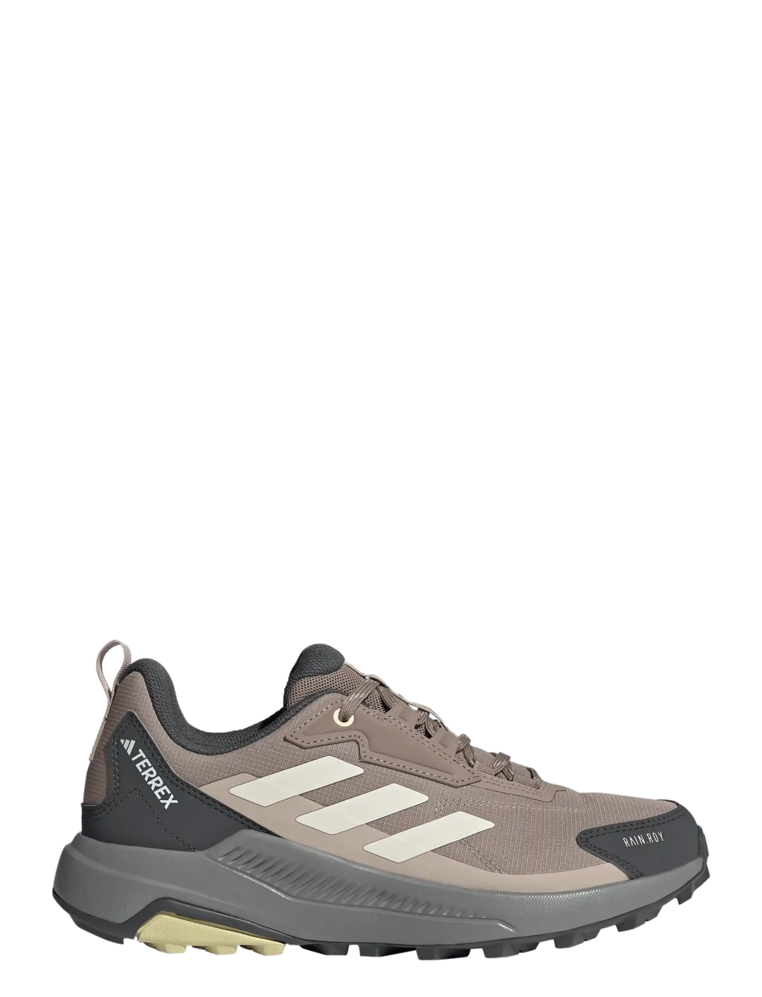 adidas Terrex - TERREX ANYLANDER R.RDY W - hiking shoes - chabrn/wonwhi/gresix - 5