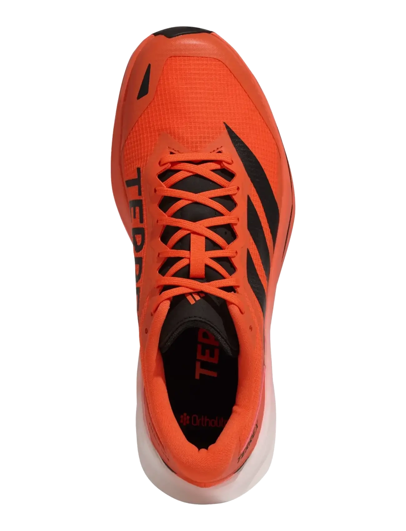 adidas Terrex - TERREX AGRAVIC LITE - bėgimo bateliai - impora/cblack/seimor - 4