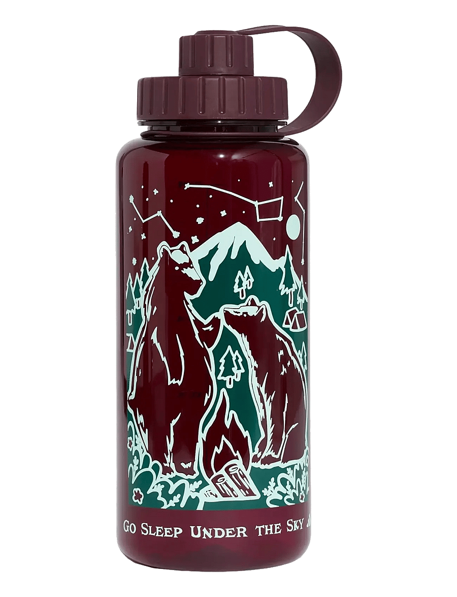 adidas Terrex - TRIT BOTTLE 1L - udstyr - maroon/maroon - 0