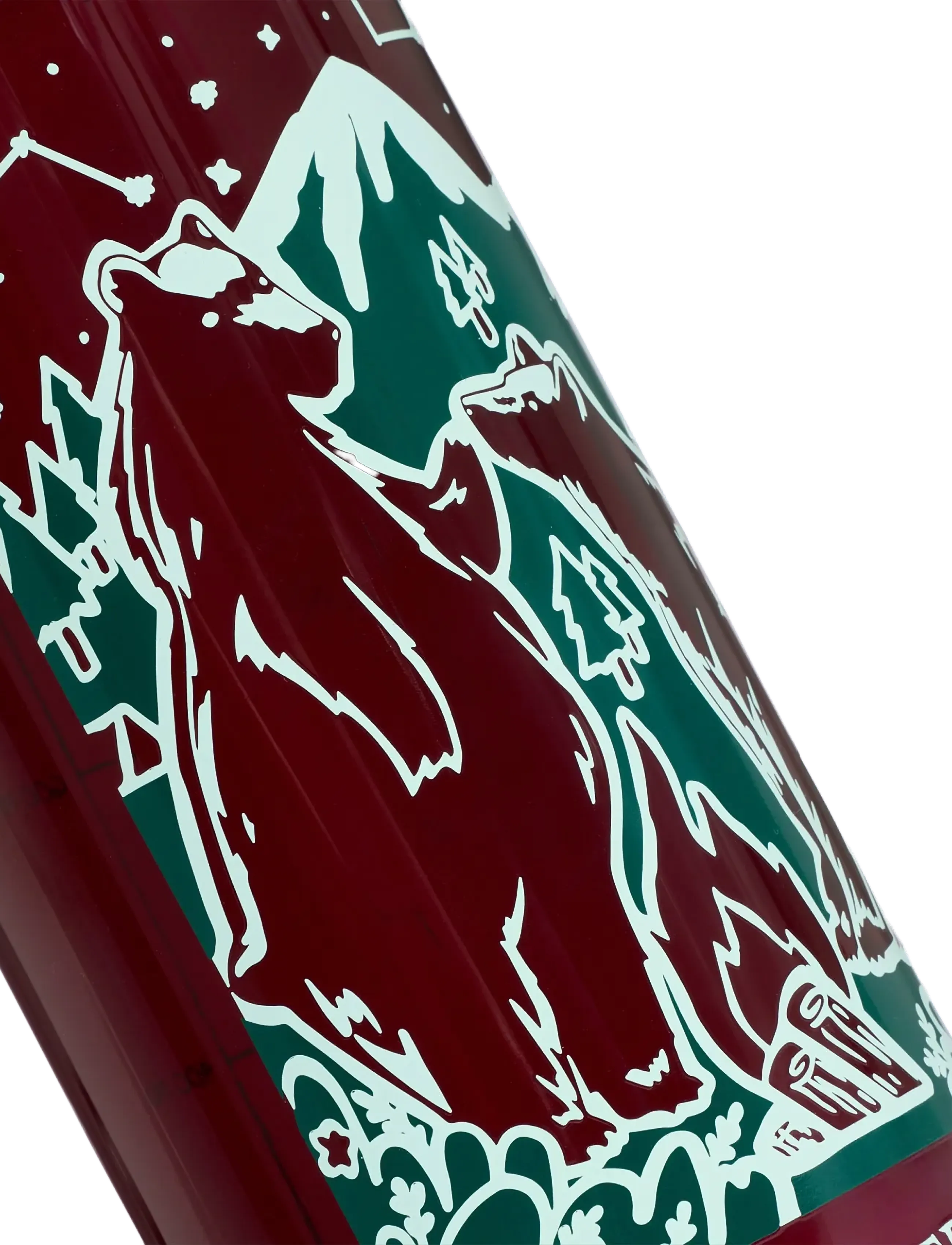 adidas Terrex - TRIT BOTTLE 1L - maroon/maroon - 1