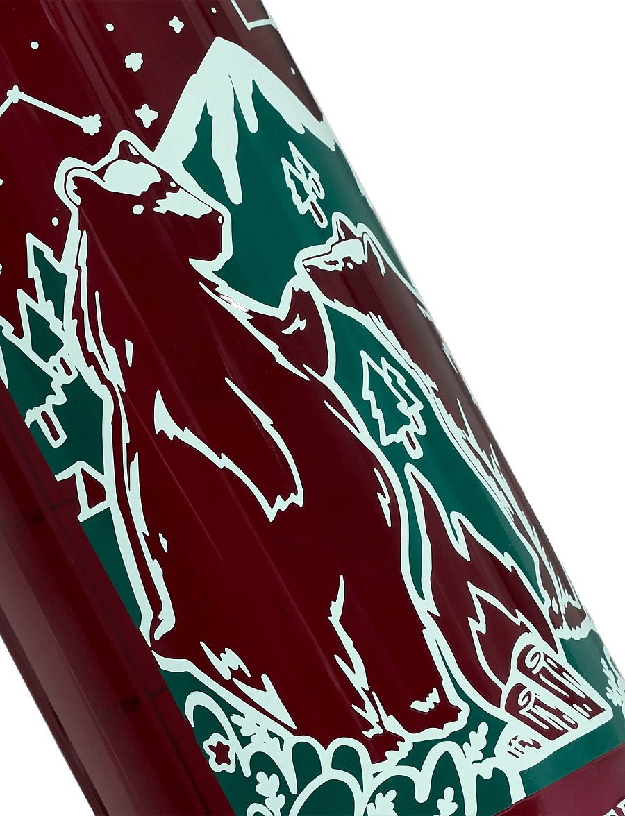 adidas Terrex - TRIT BOTTLE 1L - udstyr - maroon/maroon - 1