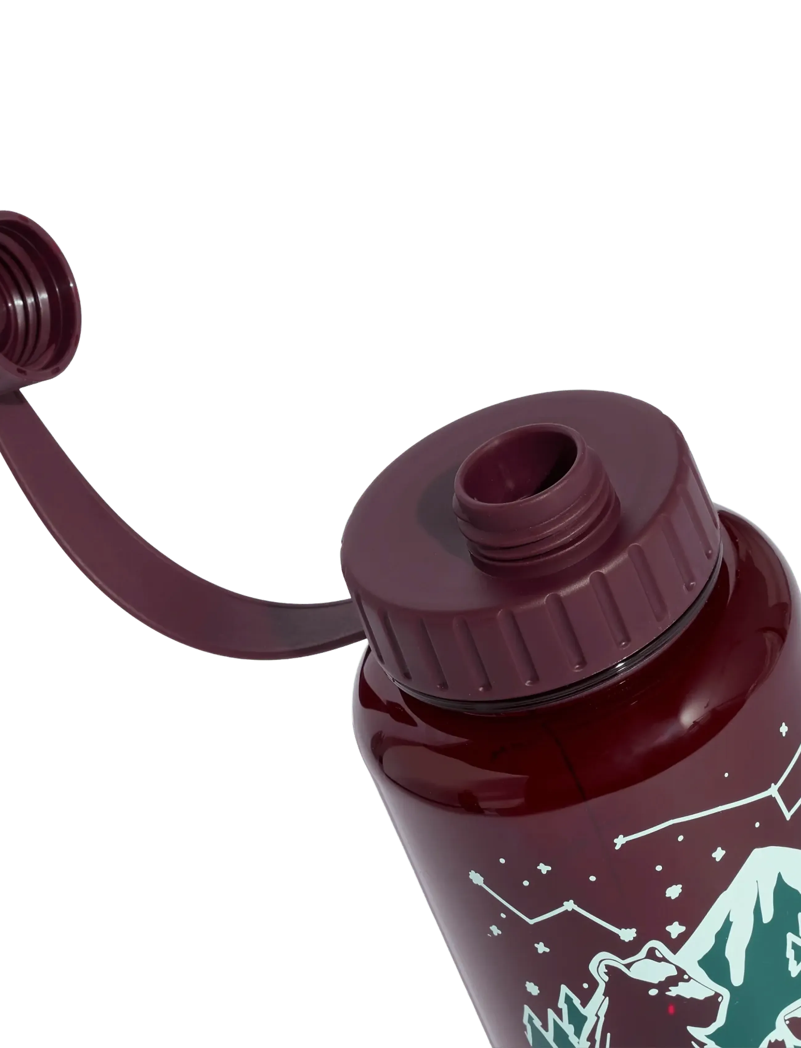 adidas Terrex - TRIT BOTTLE 1L - maroon/maroon - 2