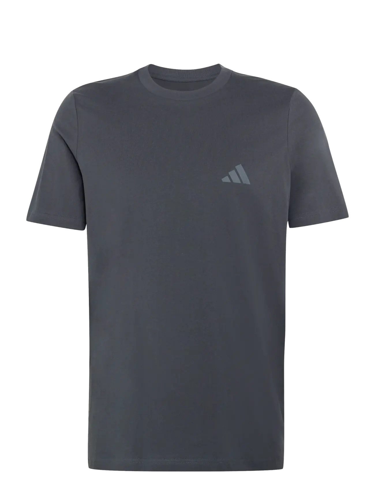 adidas Terrex M TERREX G T - T-särgid - CARBON / grey