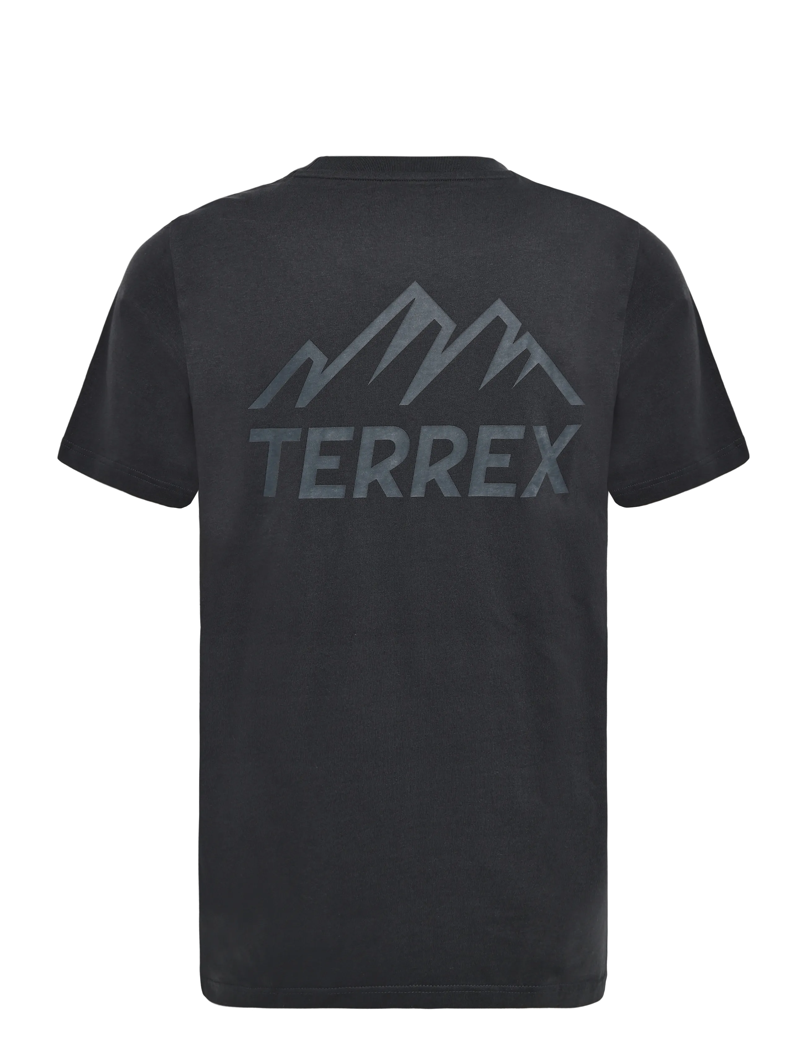 adidas Terrex - M TERREX G T - alussärgid ja t-särgid - carbon - 2