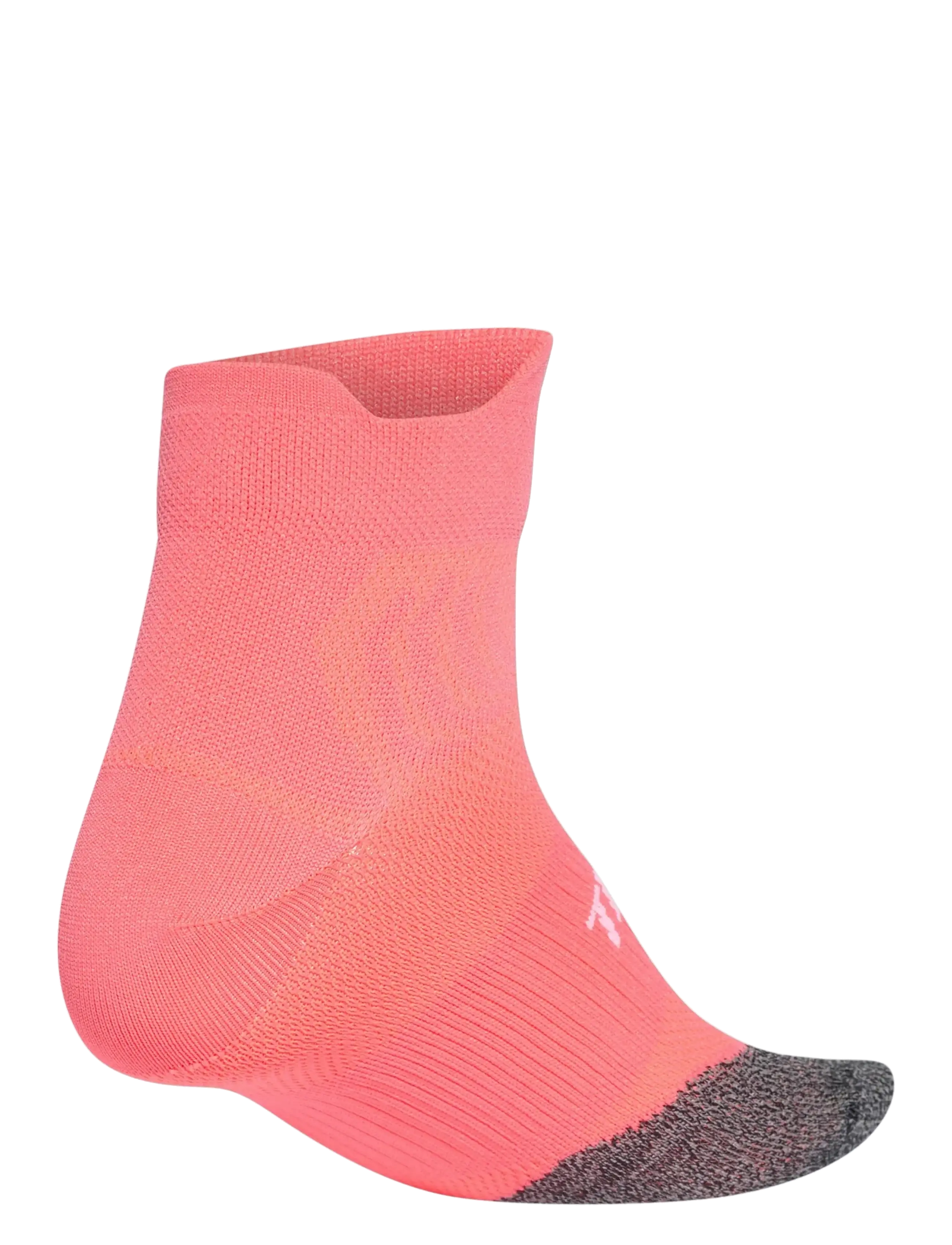 adidas Terrex - TRX TRL SPD SCK - purtur/white - 1