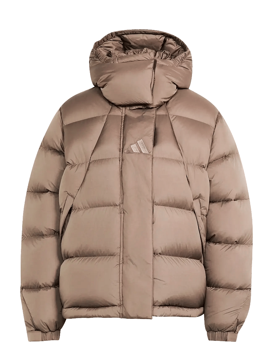 adidas Terrex - W XPL PUFFER J - friluftsjakker - earstr/earstr - 1