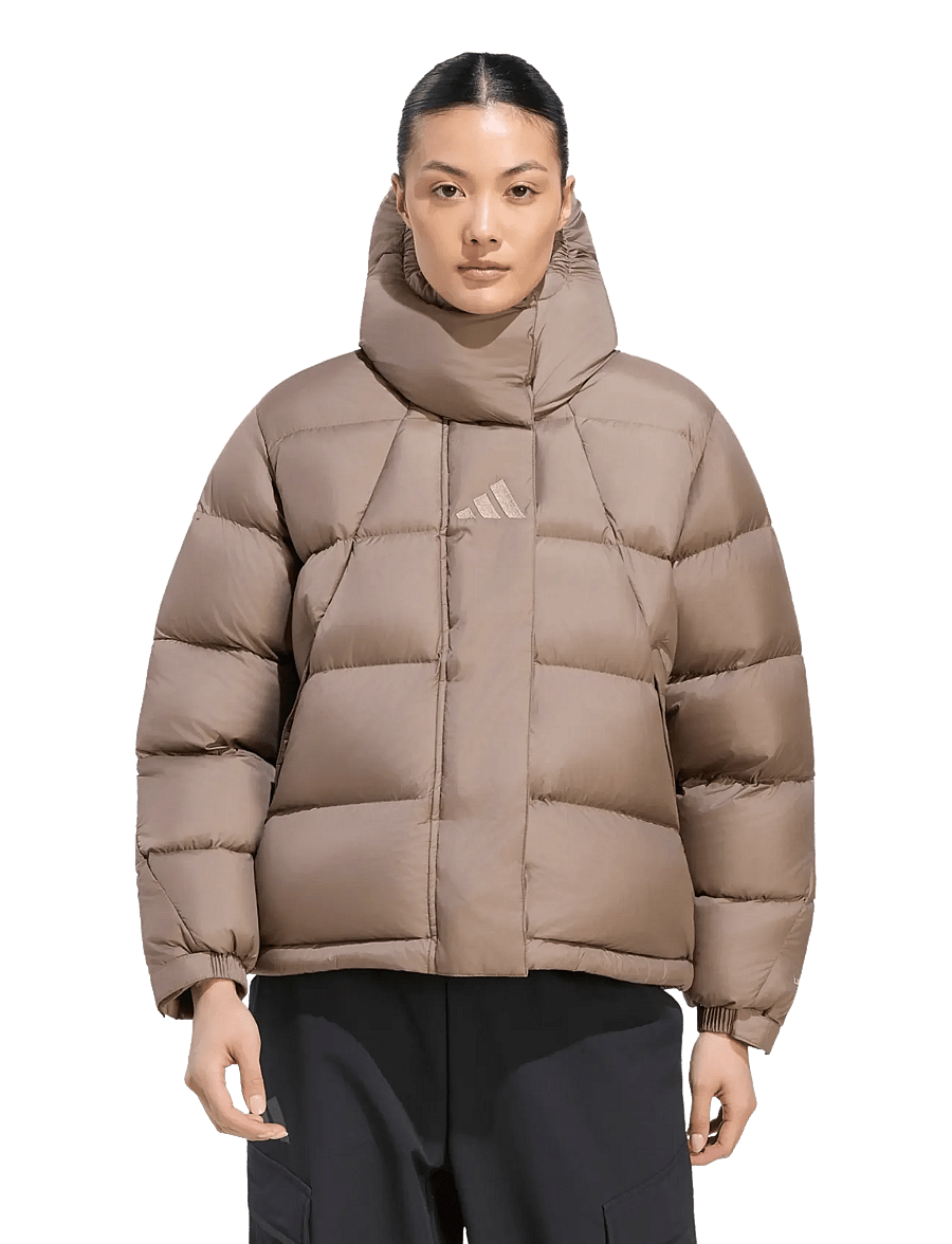 adidas Terrex - W XPL PUFFER J - friluftsjakker - earstr/earstr - 2