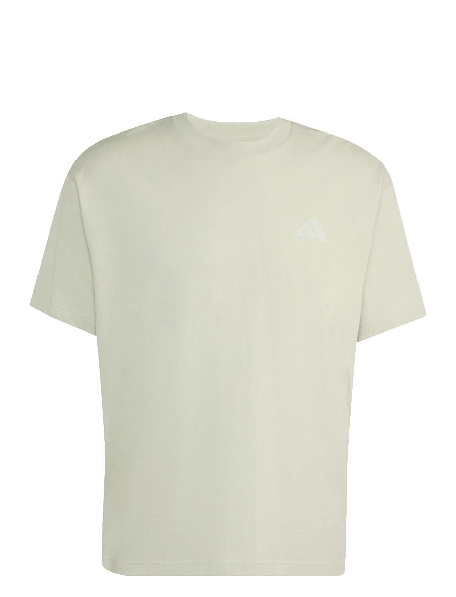 adidas Terrex - U ELEMENTS G T - oberteile & t-shirts - halgrn - 1