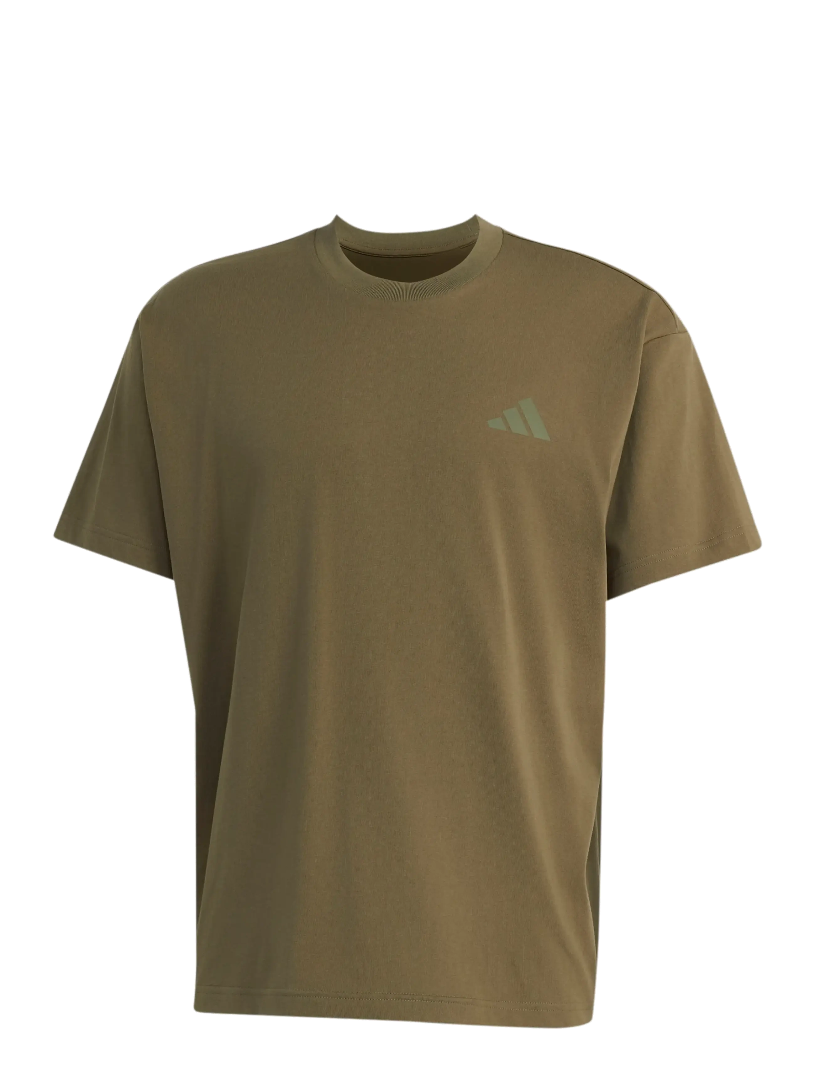 adidas Terrex U ELEMENTS G T - T-Shirts - OLISTR / khaki/green