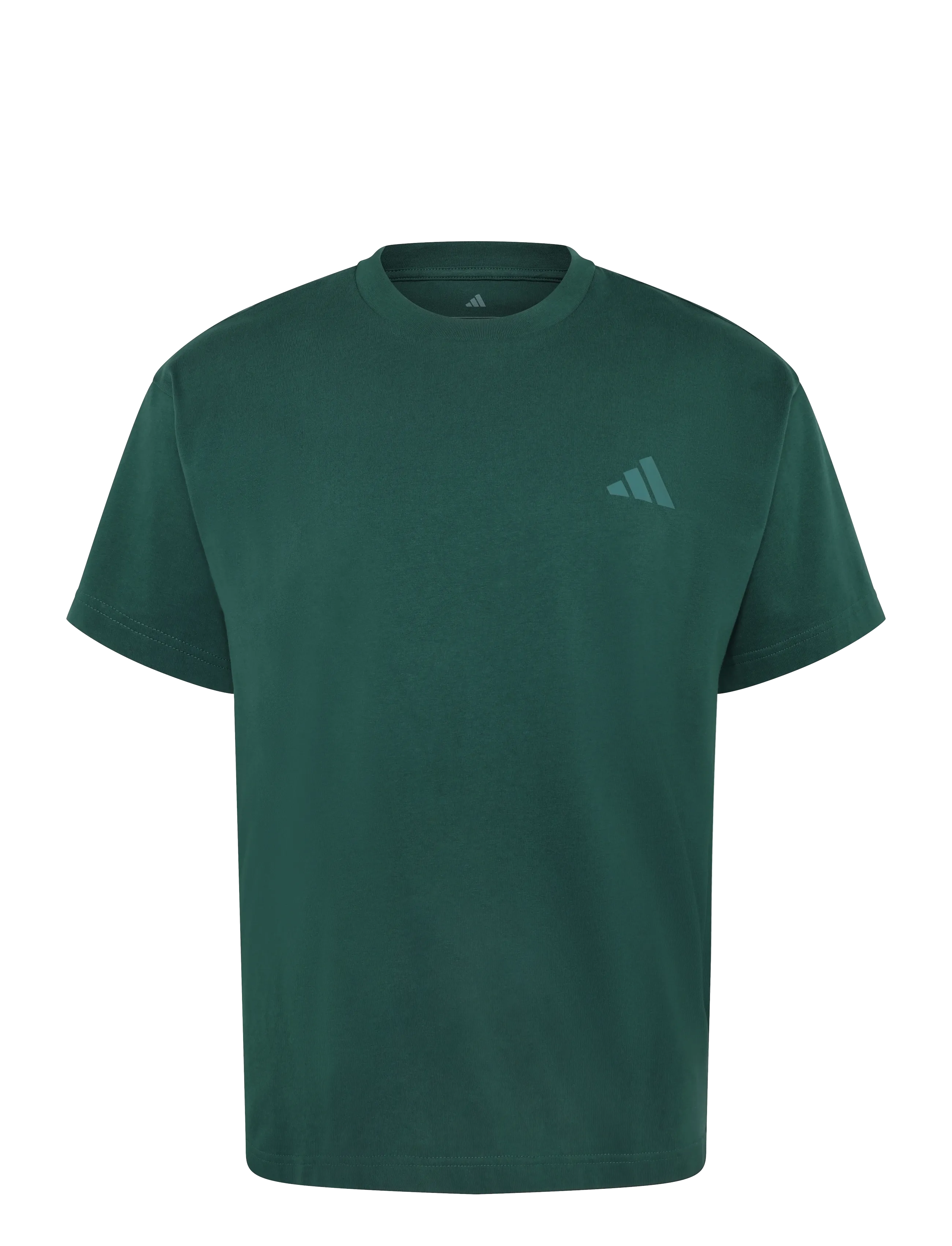 adidas Terrex U WANDERER G T - adidas - CGREEN / green