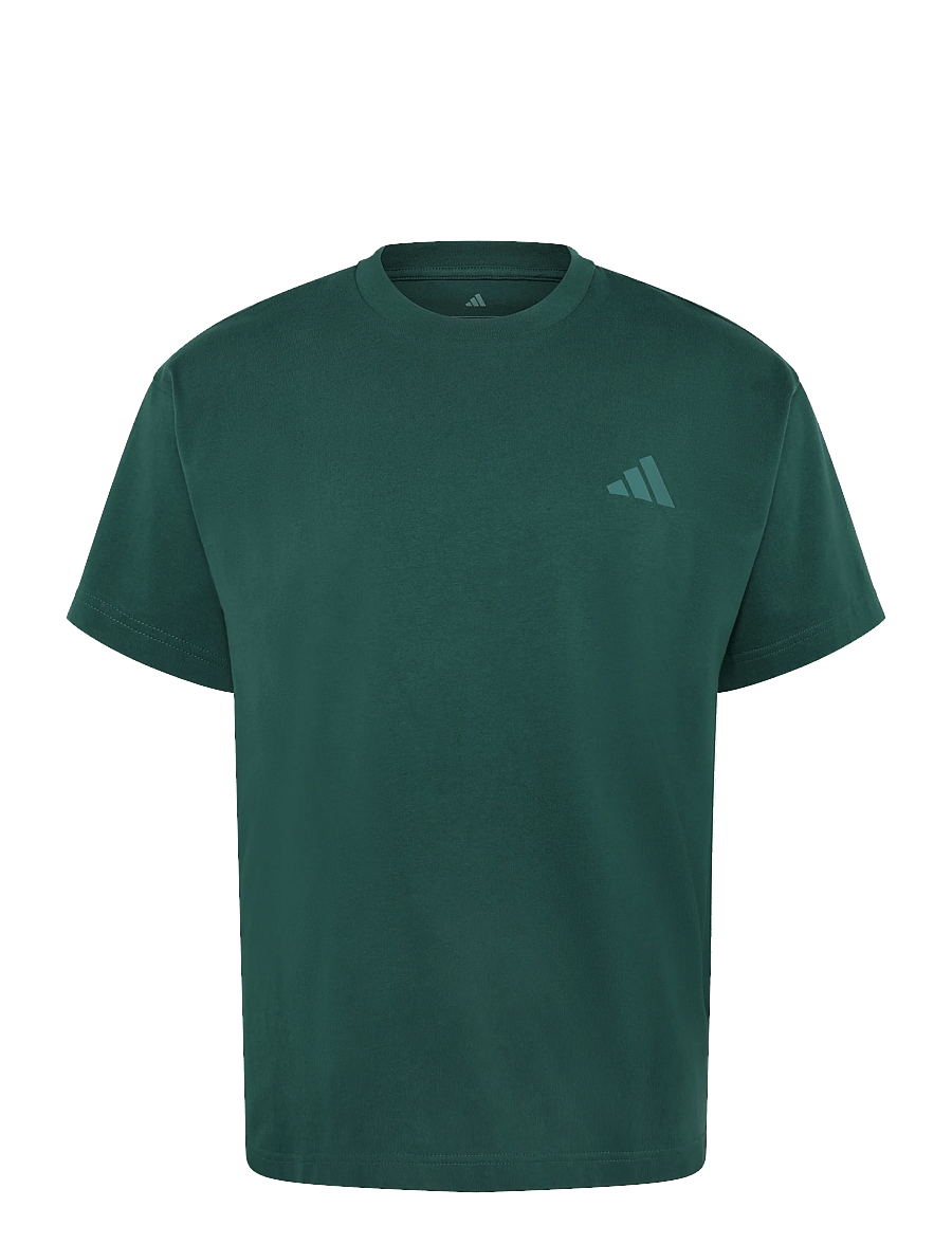 adidas Terrex - U WANDERER G T - t-shirts - cgreen - 1