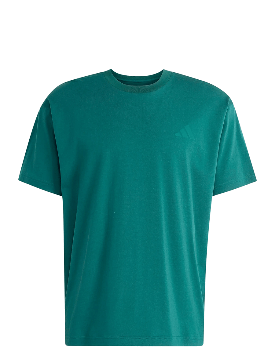 adidas Terrex - U WANDERER G T - oberteile & t-shirts - cgreen - 1
