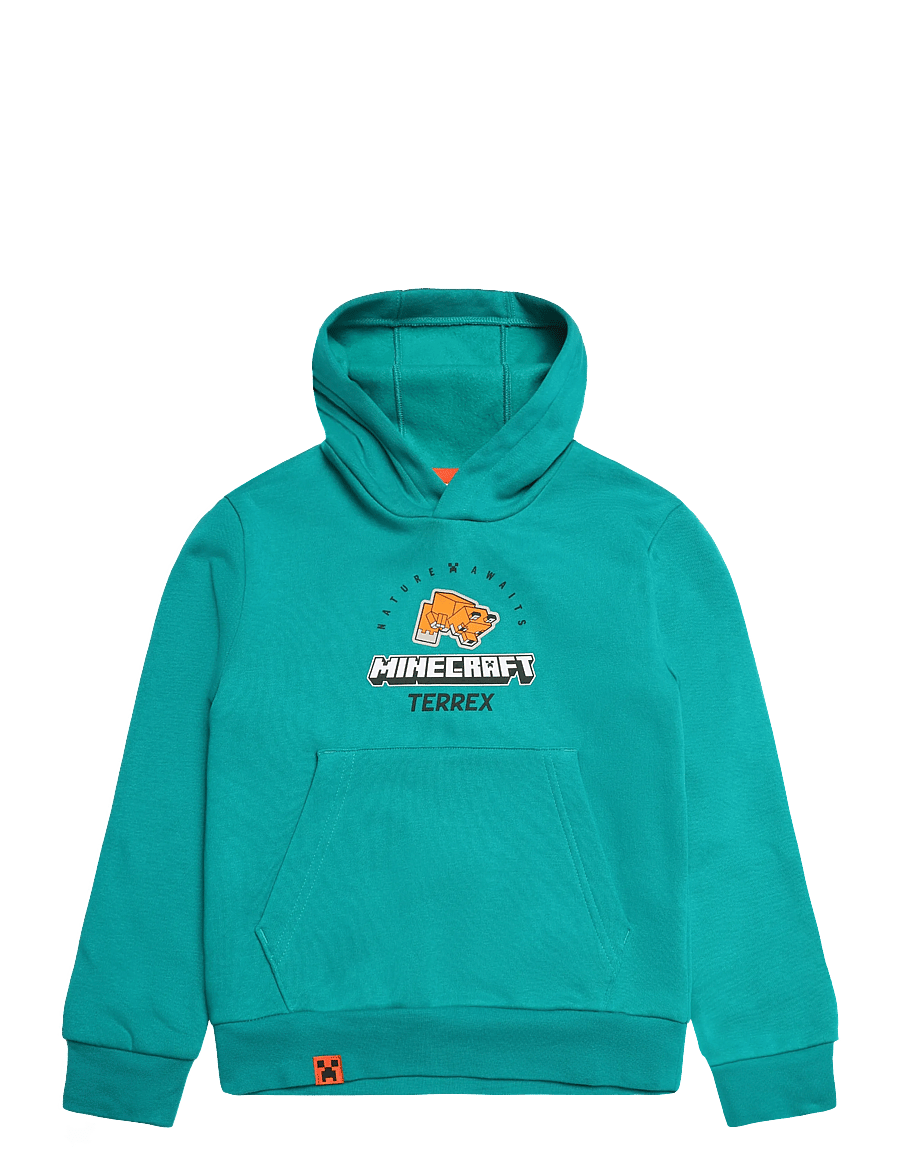 adidas Terrex - K MC MT HOODIE - kapuutsiga pusad - eqtgrn - 0
