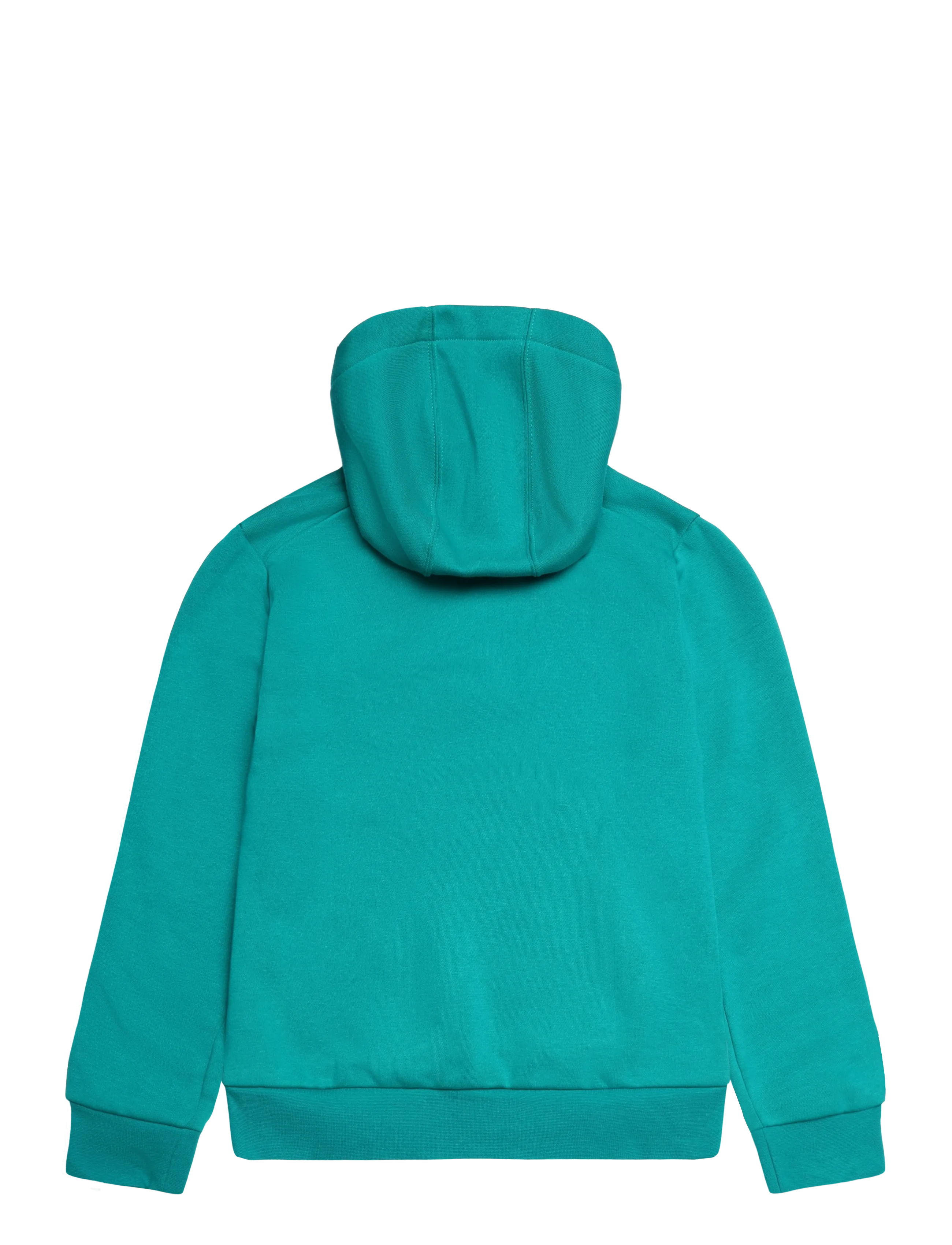 adidas Terrex - K MC MT HOODIE - kapuzenpullover - eqtgrn - 1