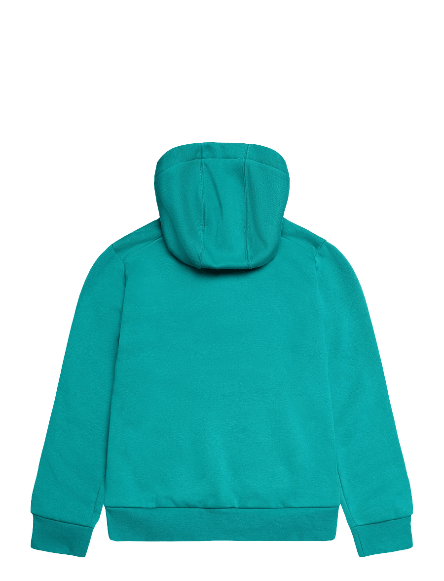 adidas Terrex - K MC MT HOODIE - kapuutsiga pusad - eqtgrn - 1