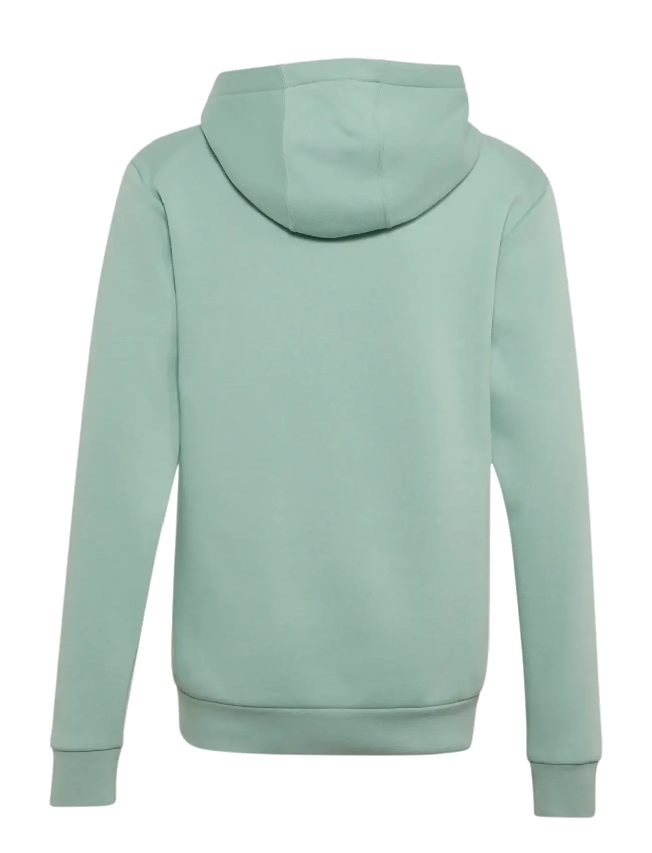adidas Terrex - K MC MT HOODIE - kapuutsiga pusad - hazgrn - 2