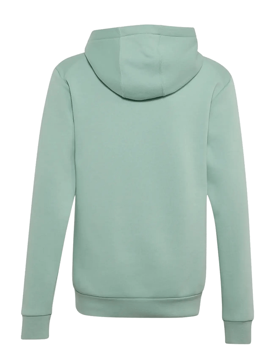 adidas Terrex - K MC MT HOODIE - kapuutsiga pusad - hazgrn - 2