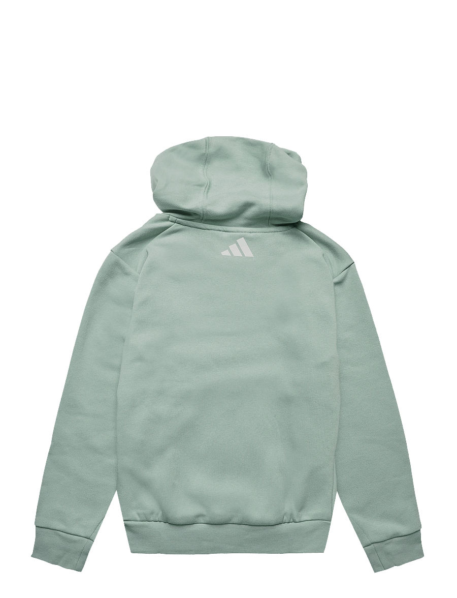 adidas Terrex - K MC MT HOODIE - hættetrøjer - hazgrn - 2