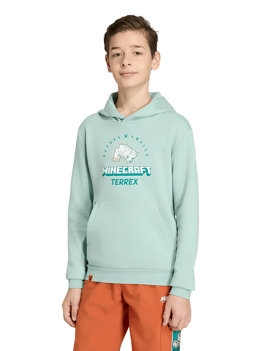 adidas Terrex - K MC MT HOODIE - kapuutsiga pusad - hazgrn - 5