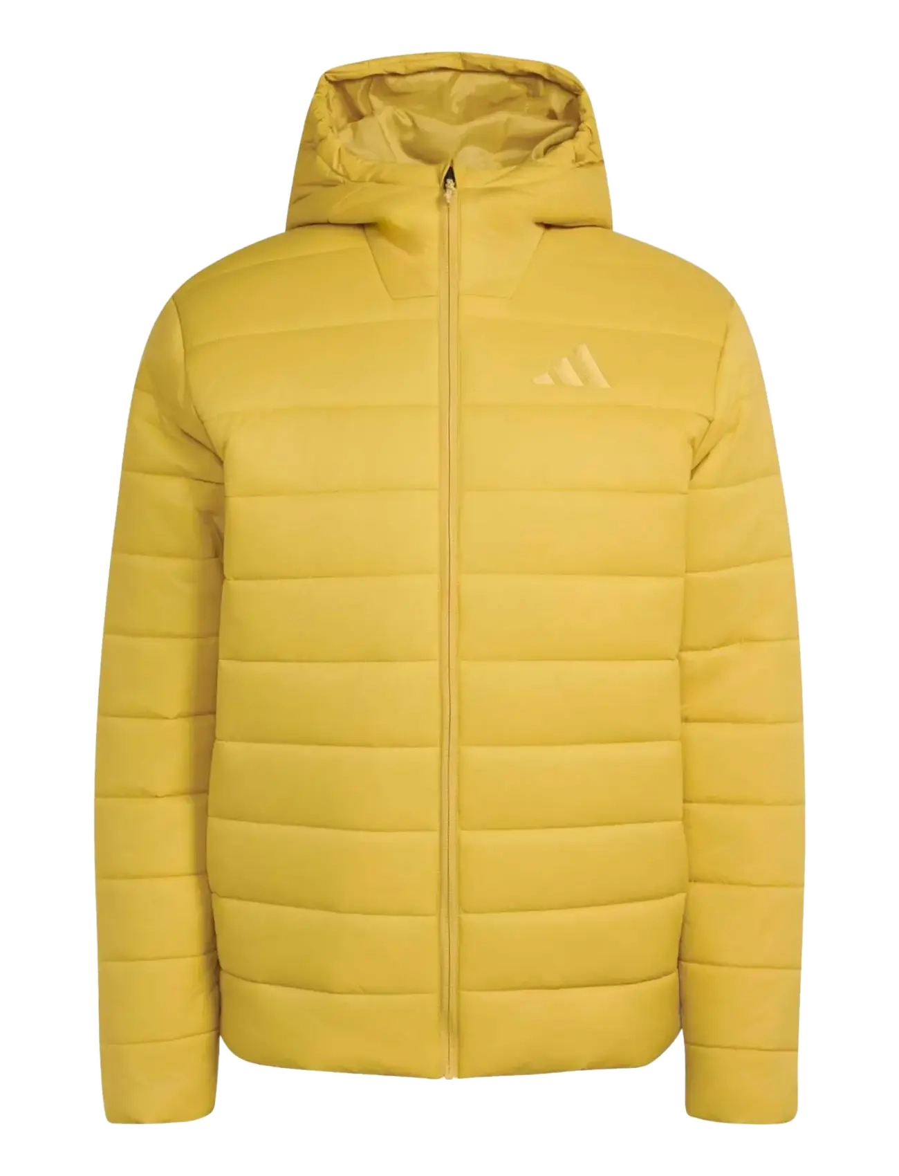 adidas Terrex MT ESS PAD HO J - Jacken - PYRITE / yellow