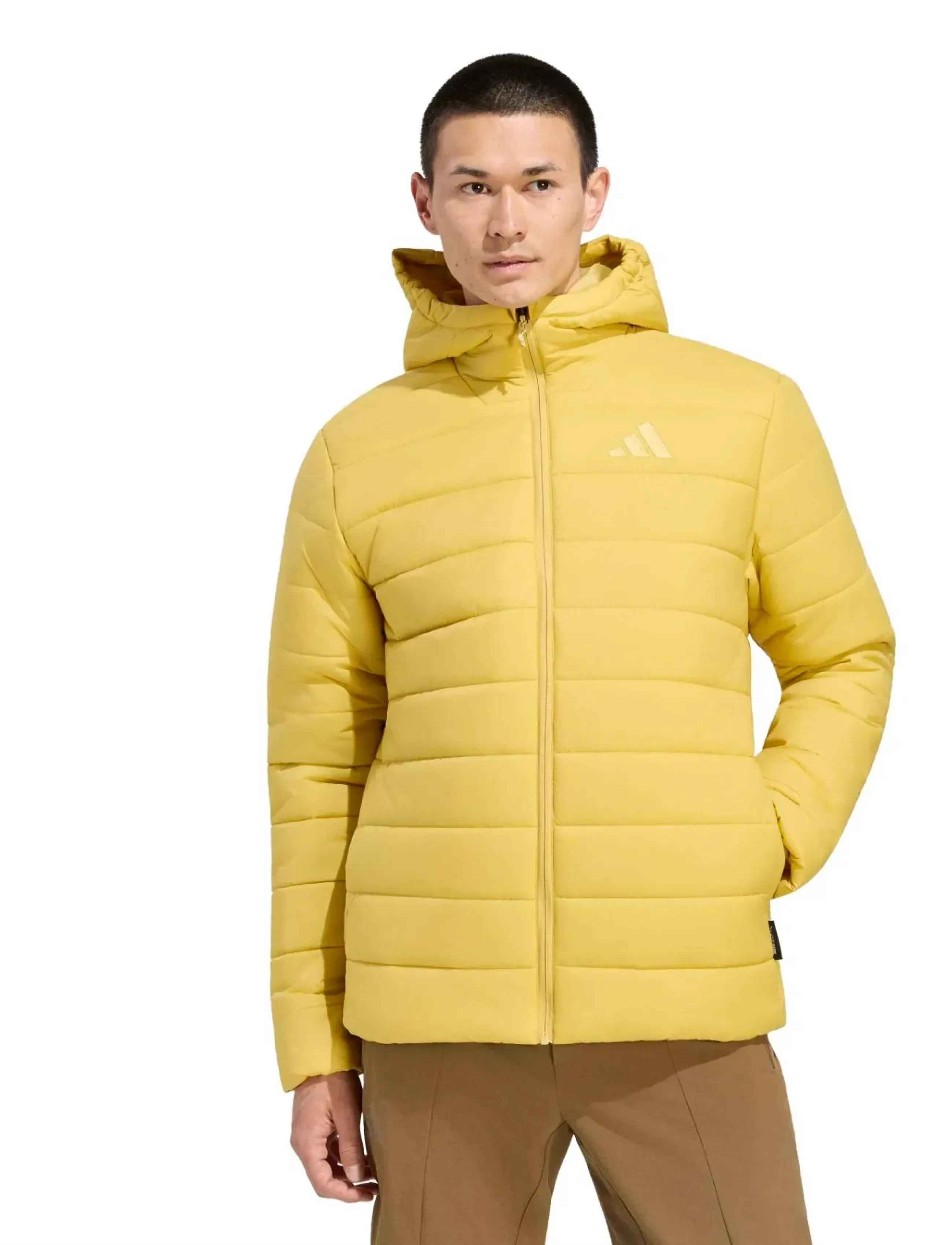 adidas Terrex - MT ESS PAD HO J - pyrite - 0