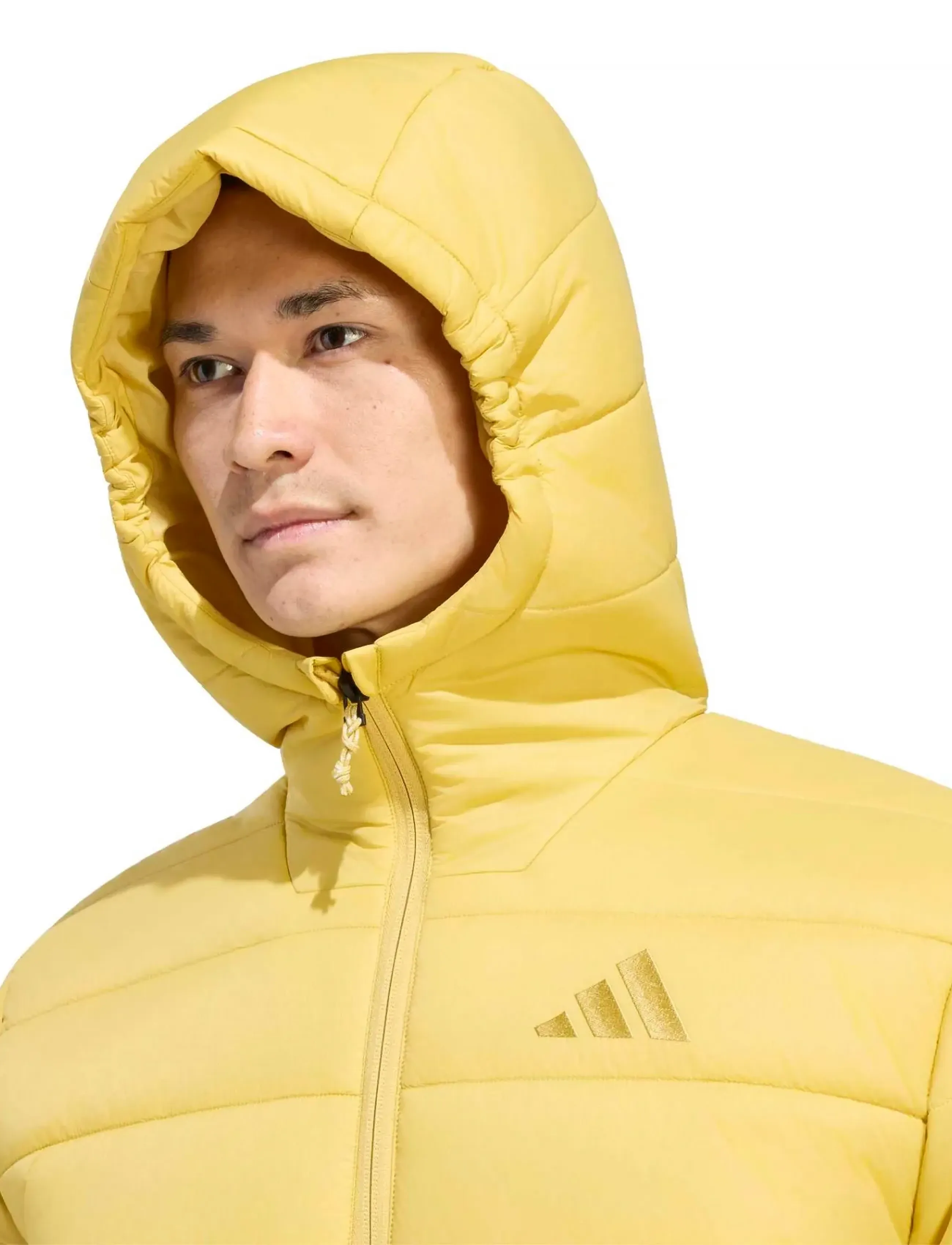 adidas Terrex - MT ESS PAD HO J - pyrite - 4