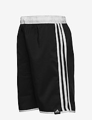 adidas Performance - 3-Stripes Swim Shorts - lühikesed ujumispüksid - black - 2