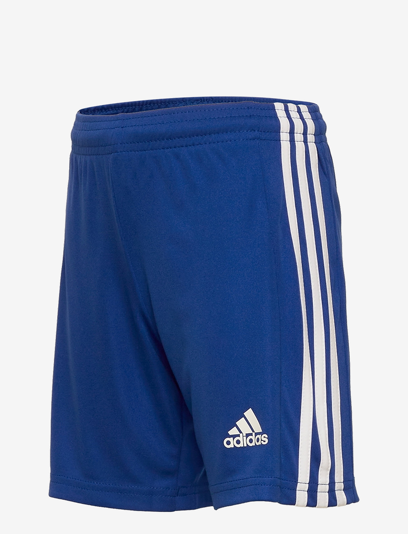 adidas Performance - SQUADRA 21 SHORT YOUTH - sportsshorts - royblu/white - 2