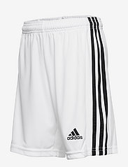 adidas Performance - SQUADRA 21 SHORT YOUTH - sport-shorts - white/black - 2