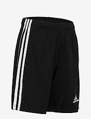 adidas Performance - SQUADRA 21 SHORT YOUTH - sport shorts - black/white - 3