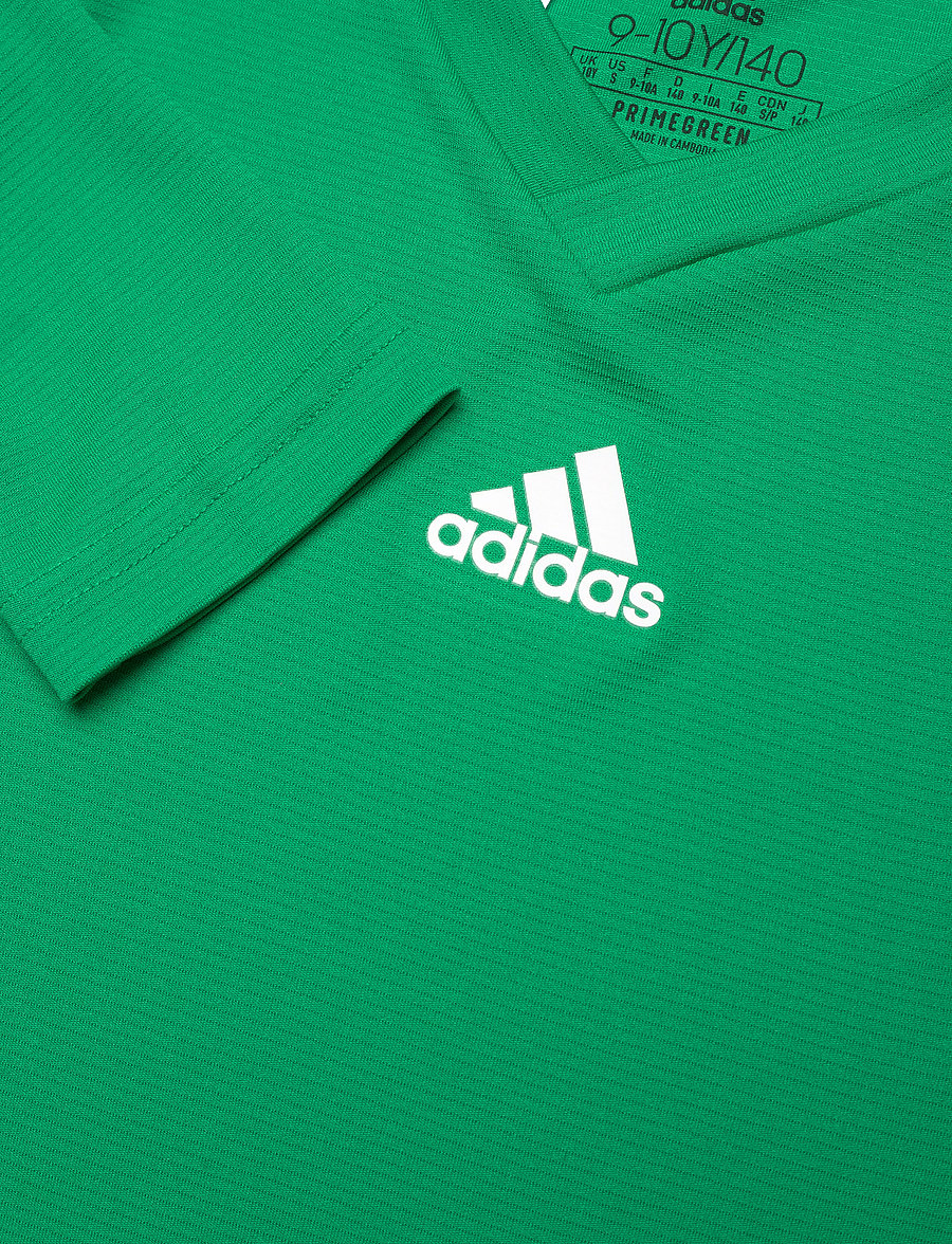 adidas Performance - TEAM BASE TEE Y - sporttoppar - teagrn - 2
