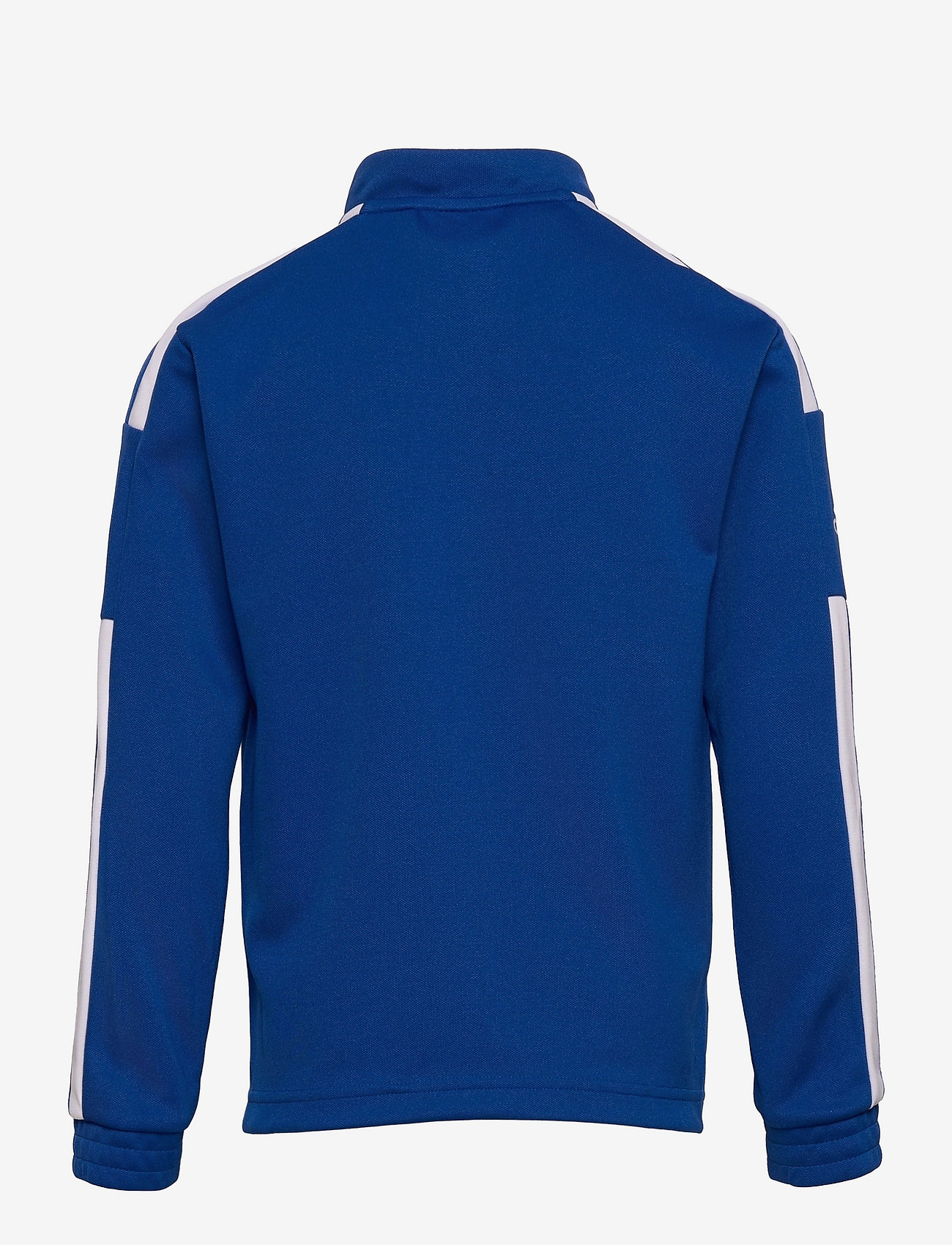 adidas Performance - SQUADRA21 TRAINING JACKET YOUTH - royblu/white - 1