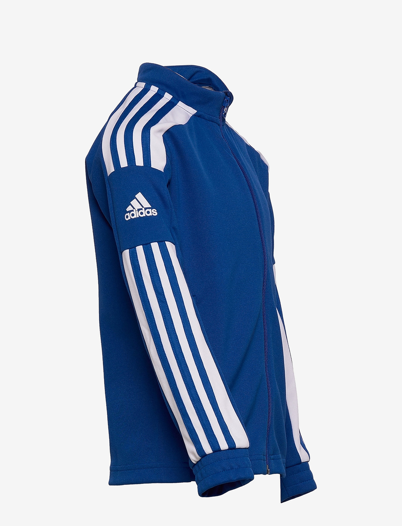 adidas Performance - SQUADRA21 TRAINING JACKET YOUTH - royblu/white - 2