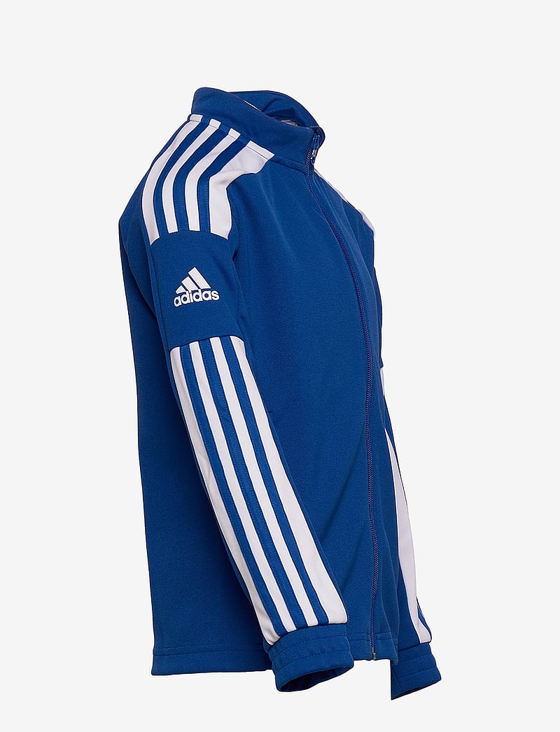 adidas Performance - SQUADRA21 TRAINING JACKET YOUTH - sporta džemperi - royblu/white - 2