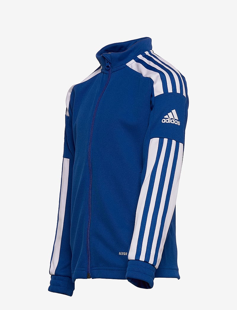 adidas Performance - SQUADRA21 TRAINING JACKET YOUTH - sporta džemperi - royblu/white - 3