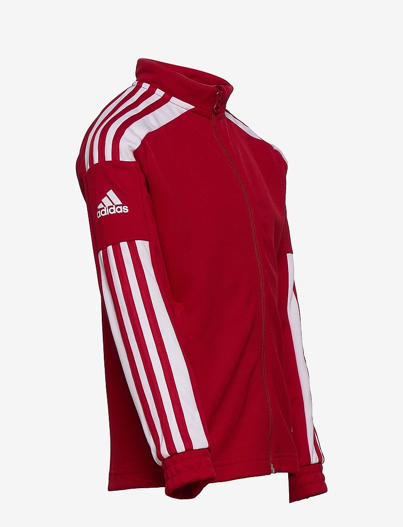 adidas Performance - SQUADRA21 TRAINING JACKET YOUTH - sporta džemperi - tmpwrd/white - 2