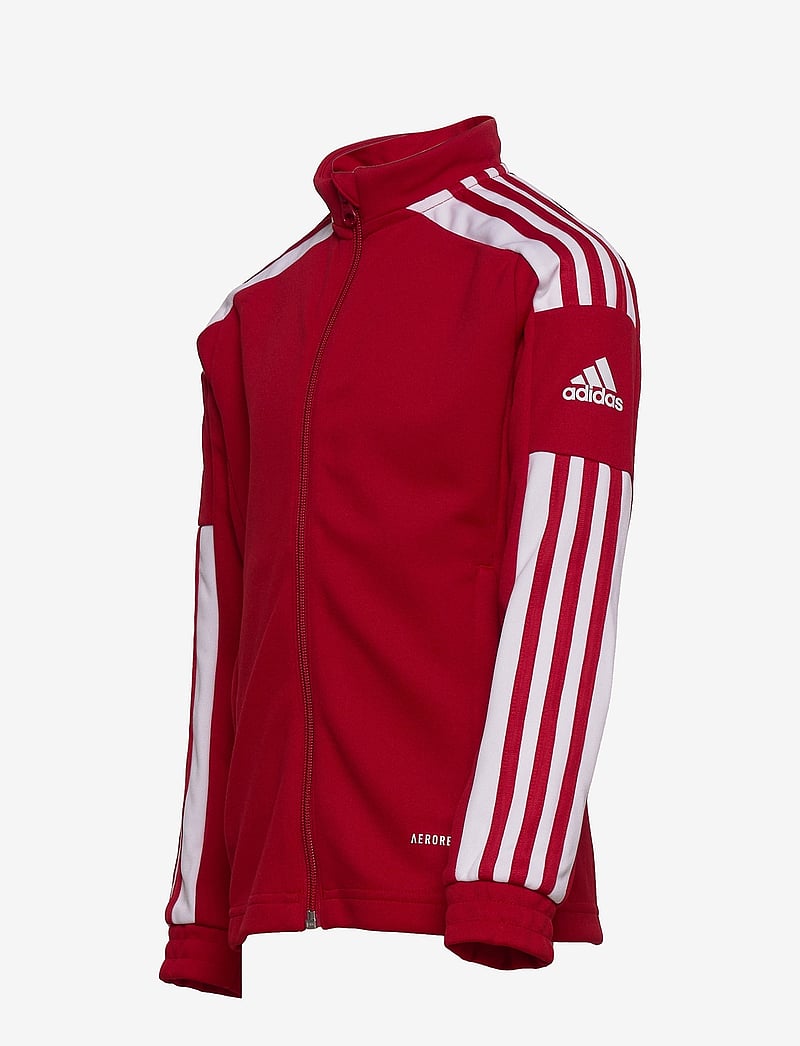 adidas Performance - SQUADRA21 TRAINING JACKET YOUTH - sporta džemperi - tmpwrd/white - 3