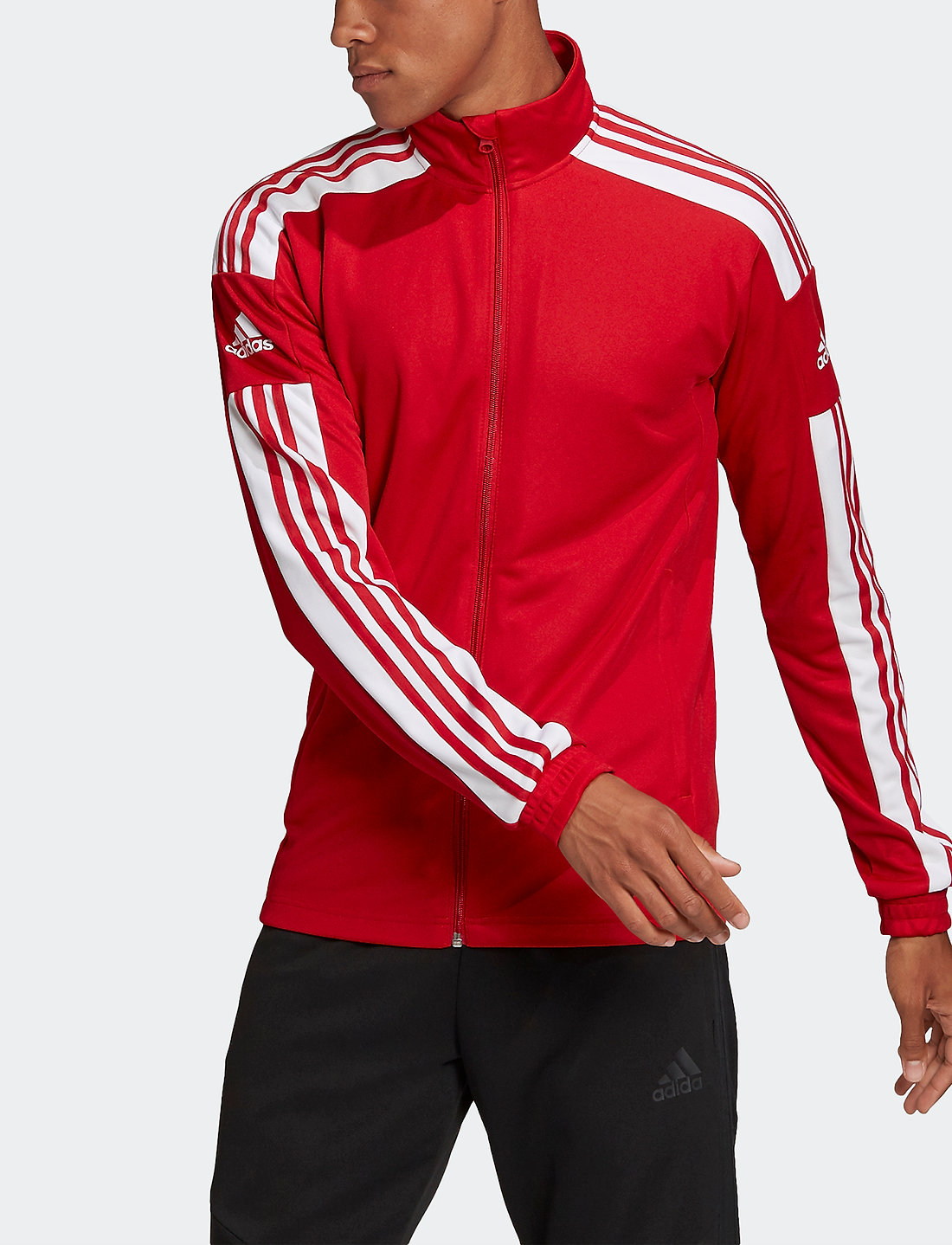 Adidas best sale jacket training