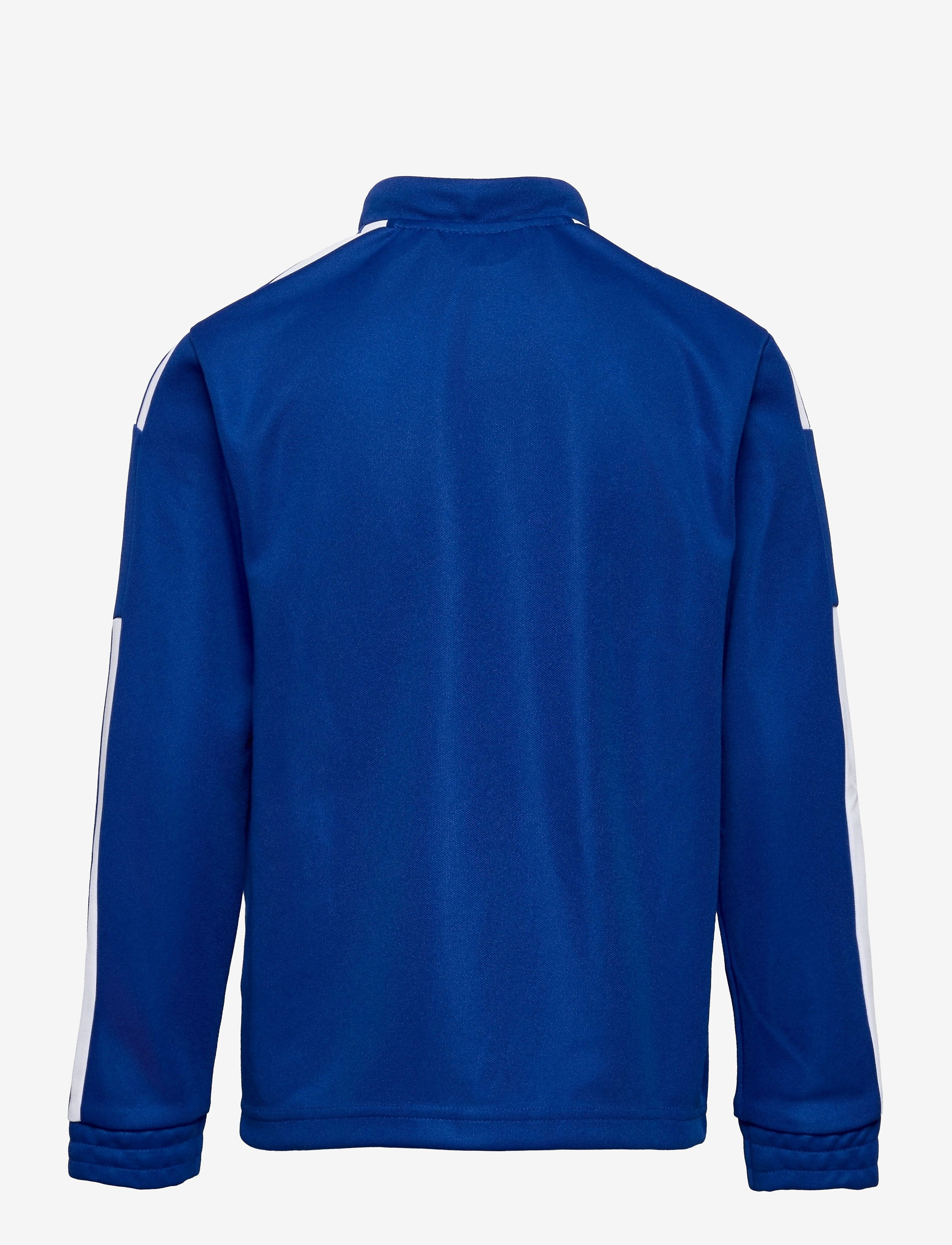 adidas Performance - SQUADRA21 TRAINING TOP YOUTH - royblu/white - 1