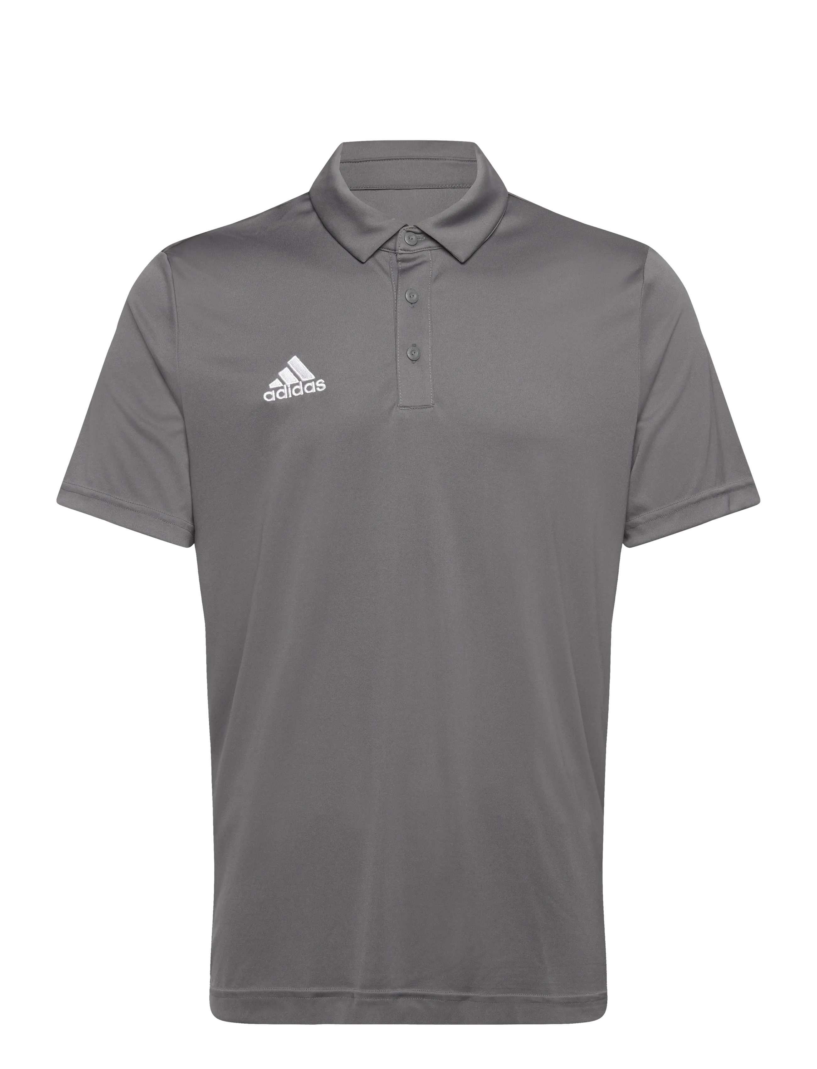 adidas Performance ENT22 POLO - Kortærmede poloer - TEGRFO / grey