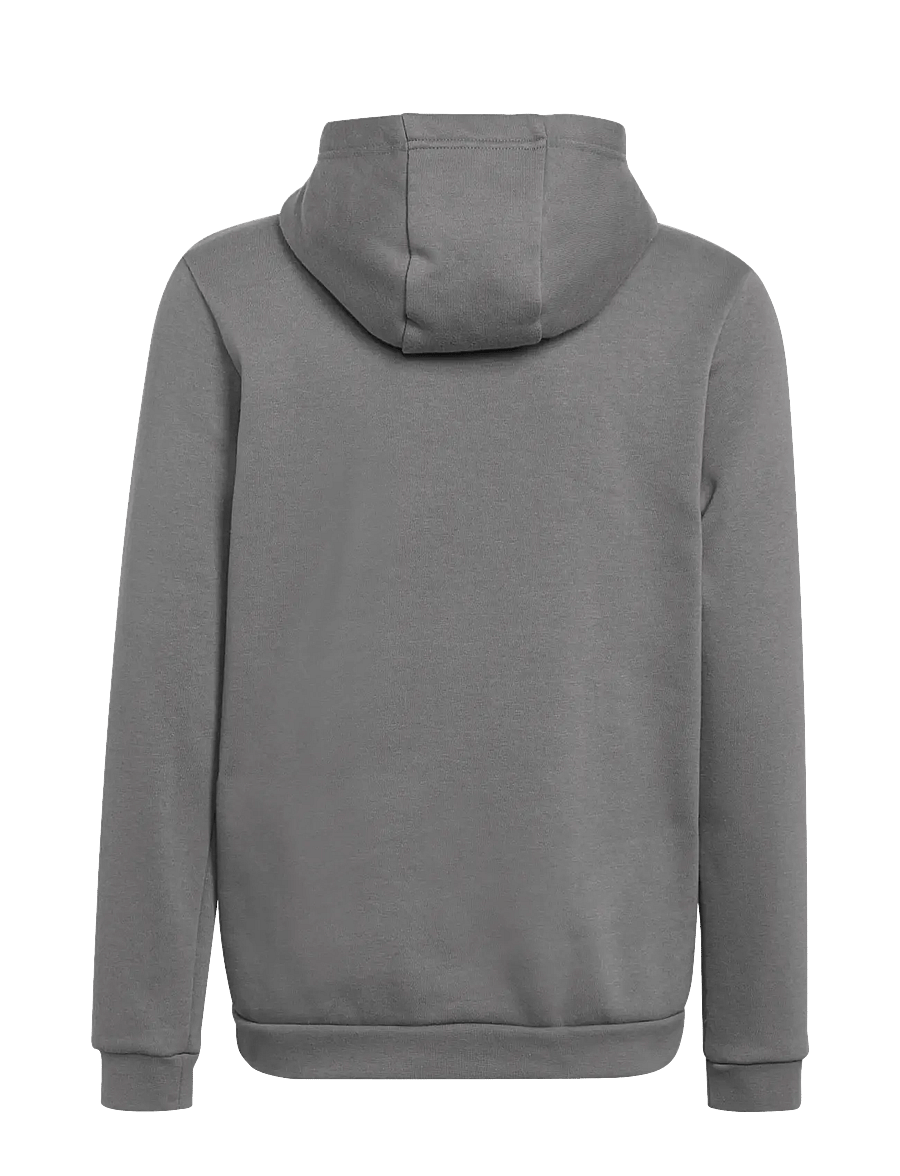 adidas Performance - ENT22 HOODY - kapuzenpullover - tegrfo - 1